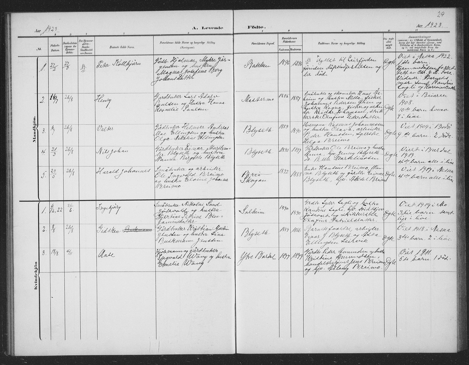 Ministerialprotokoller, klokkerbøker og fødselsregistre - Nordland, AV/SAT-A-1459/833/L0502: Parish register (copy) no. 833C01, 1906-1934, p. 29