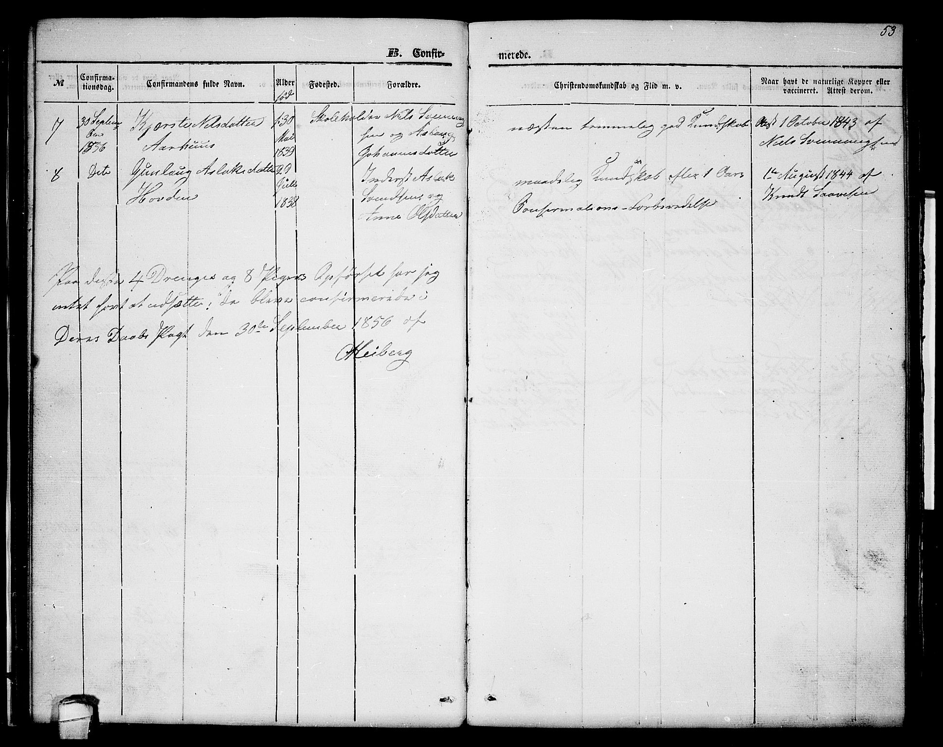 Lårdal kirkebøker, SAKO/A-284/G/Gc/L0002: Parish register (copy) no. III 2, 1852-1877, p. 53