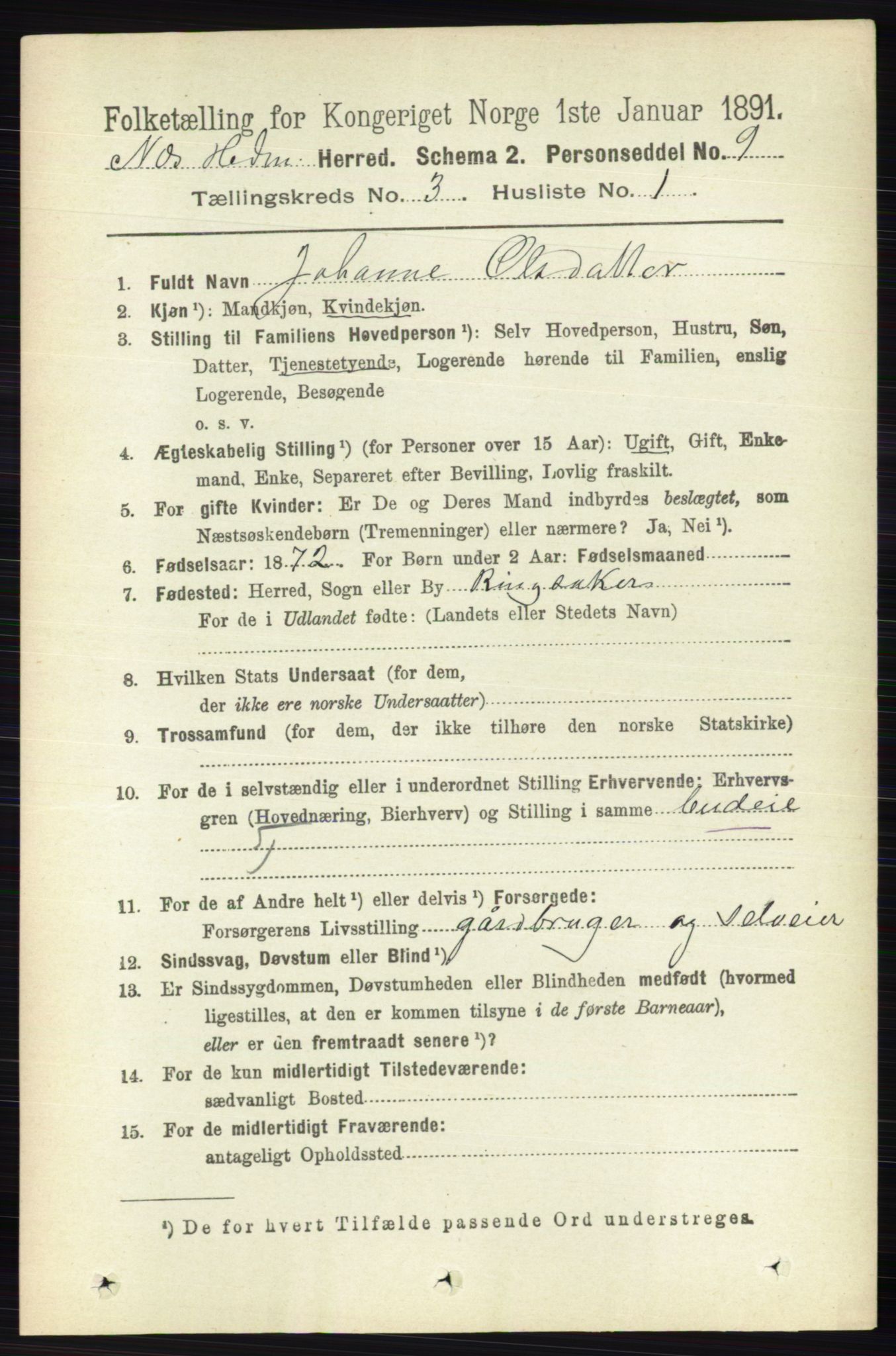 RA, 1891 census for 0411 Nes, 1891, p. 1596