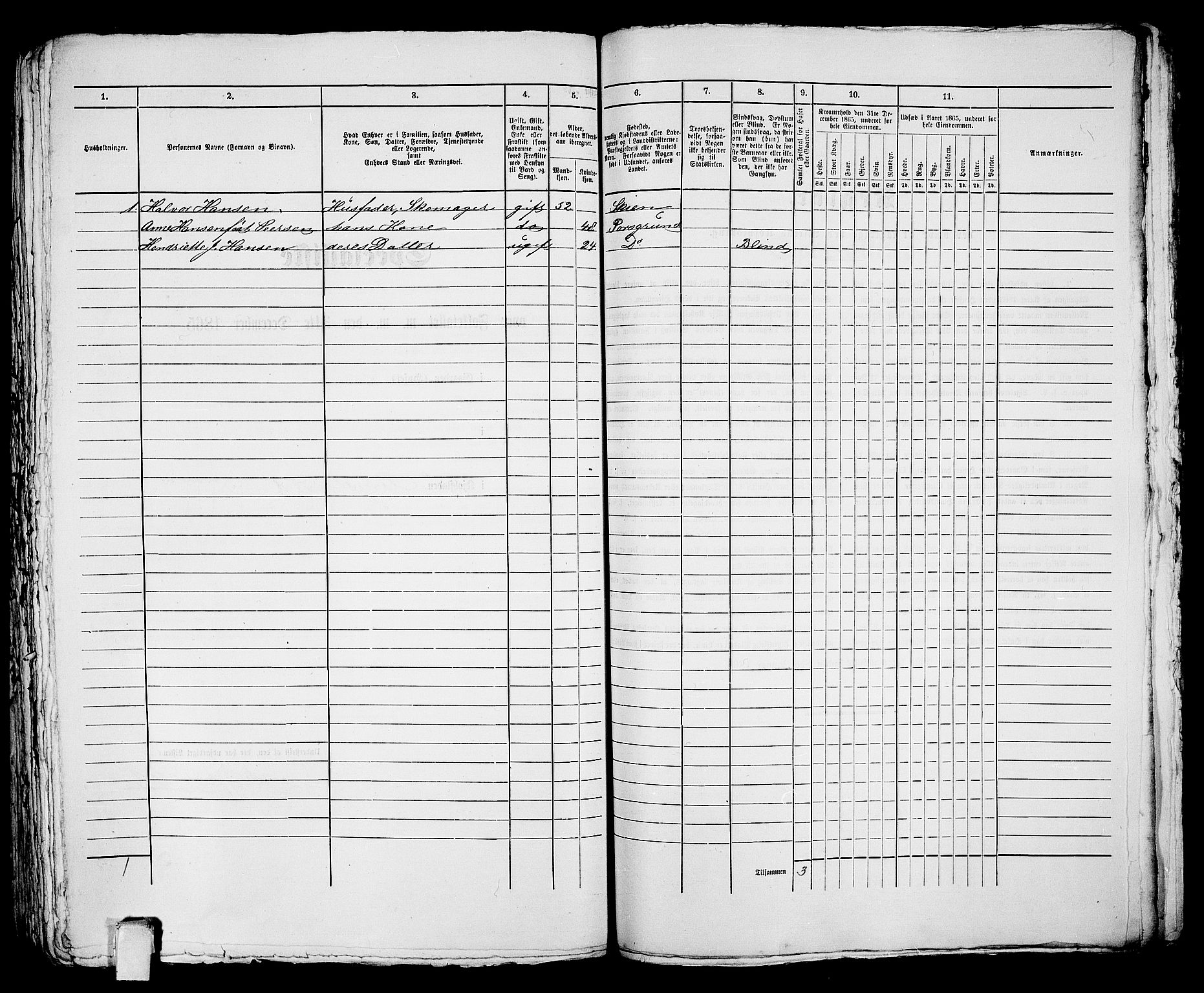 RA, 1865 census for Porsgrunn, 1865, p. 381