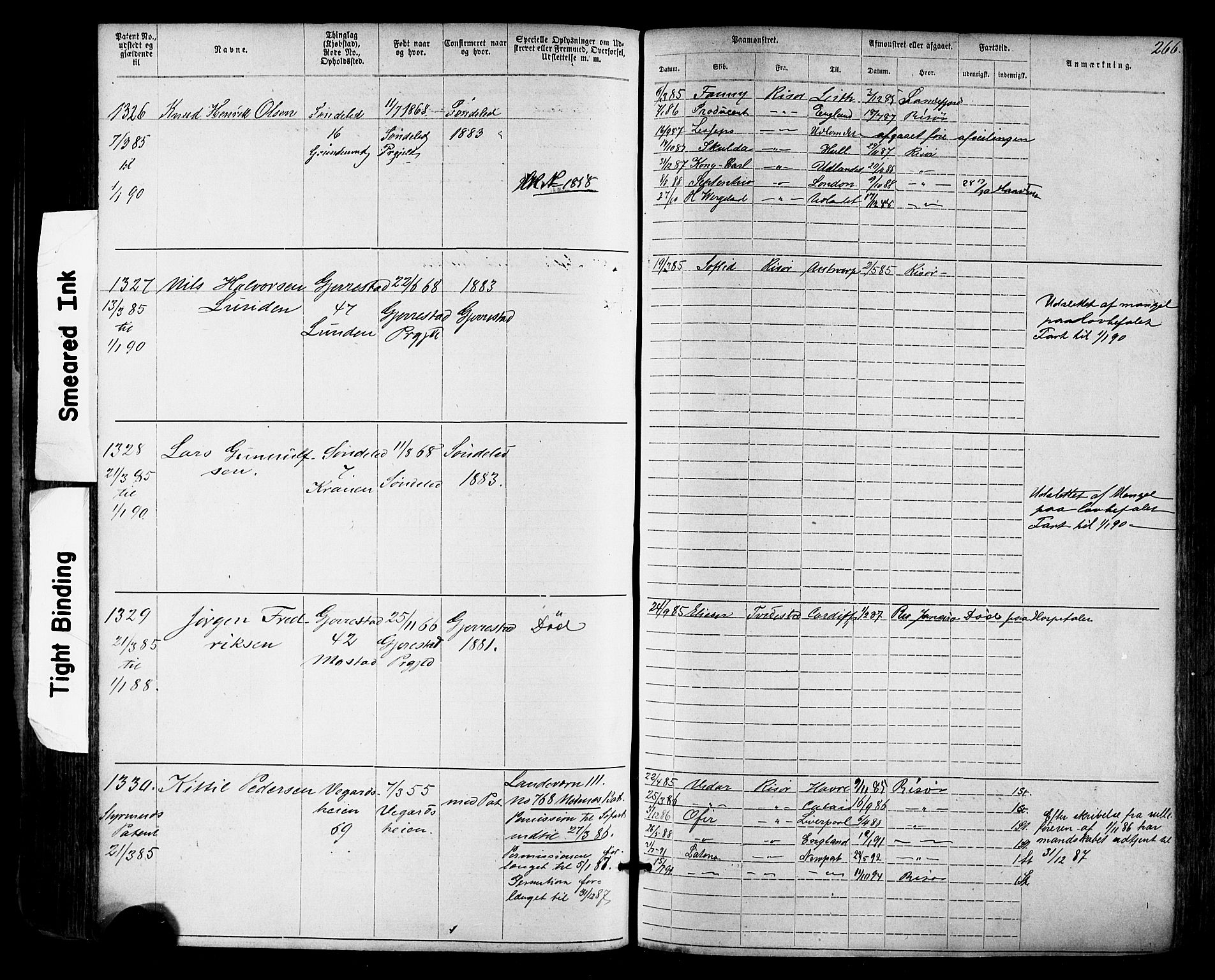 Risør mønstringskrets, AV/SAK-2031-0010/F/Fa/L0003: Annotasjonsrulle nr 1-1913 med register, T-7, 1863-1899, p. 204