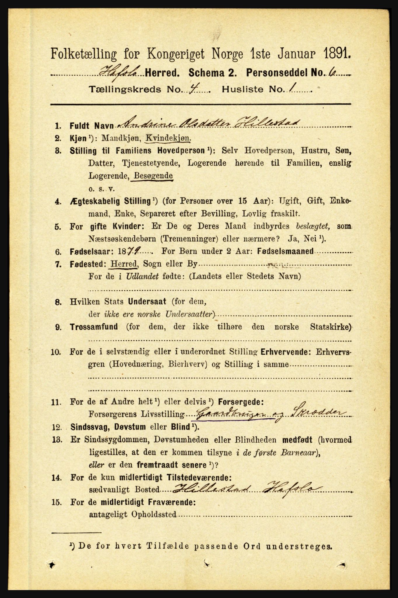 RA, 1891 census for 1425 Hafslo, 1891, p. 1580