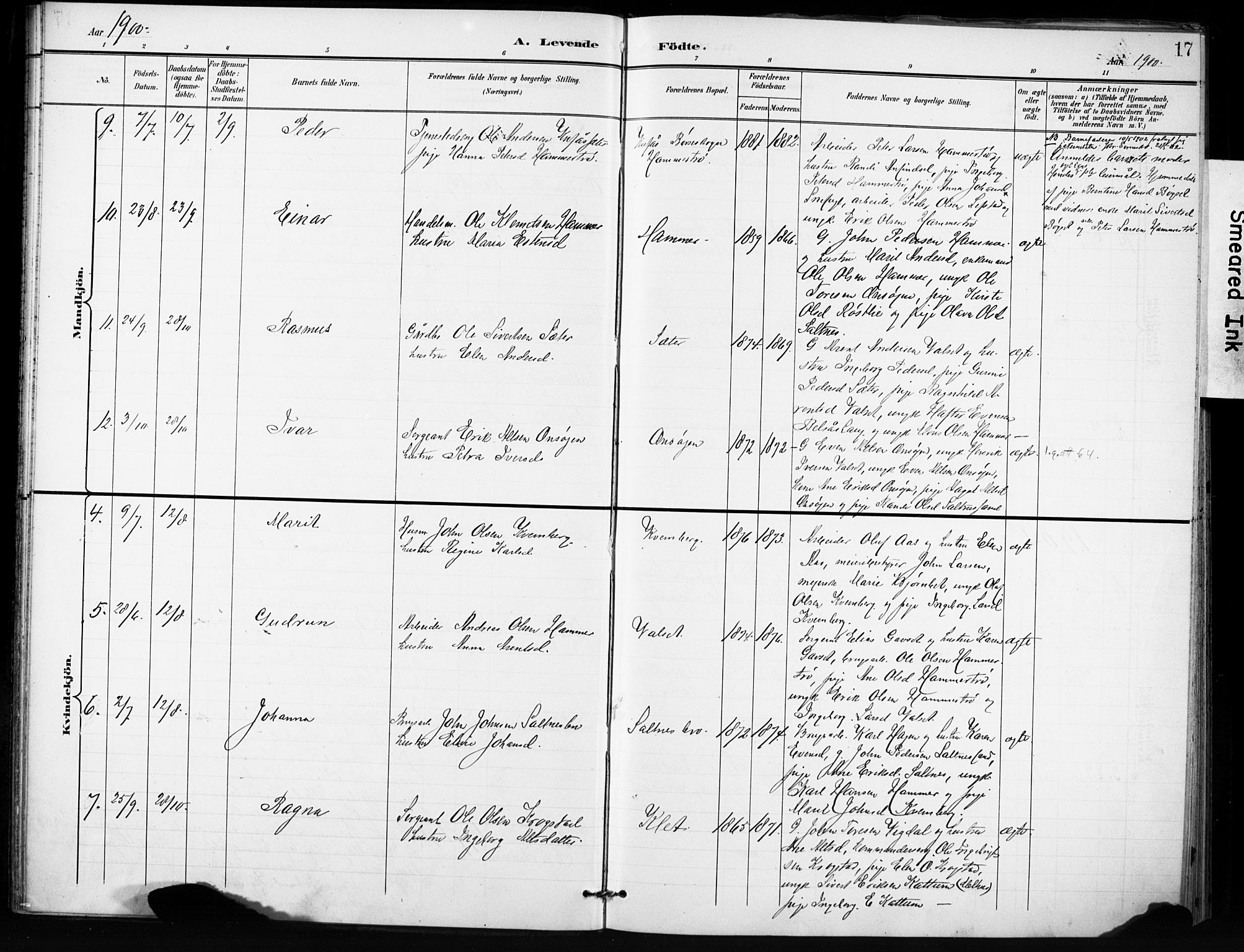 Ministerialprotokoller, klokkerbøker og fødselsregistre - Sør-Trøndelag, AV/SAT-A-1456/666/L0787: Parish register (official) no. 666A05, 1895-1908, p. 17