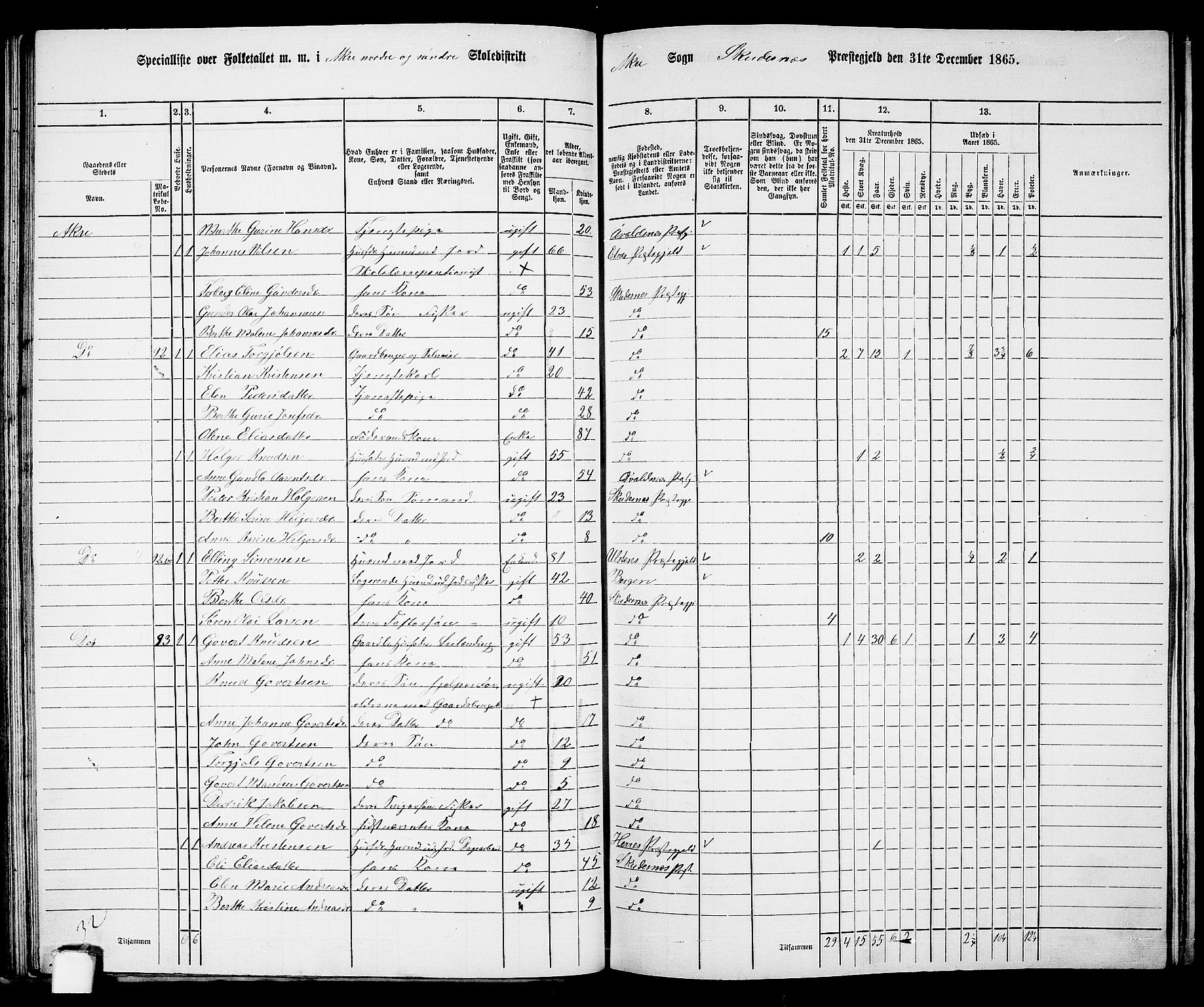 RA, 1865 census for Skudenes, 1865, p. 54