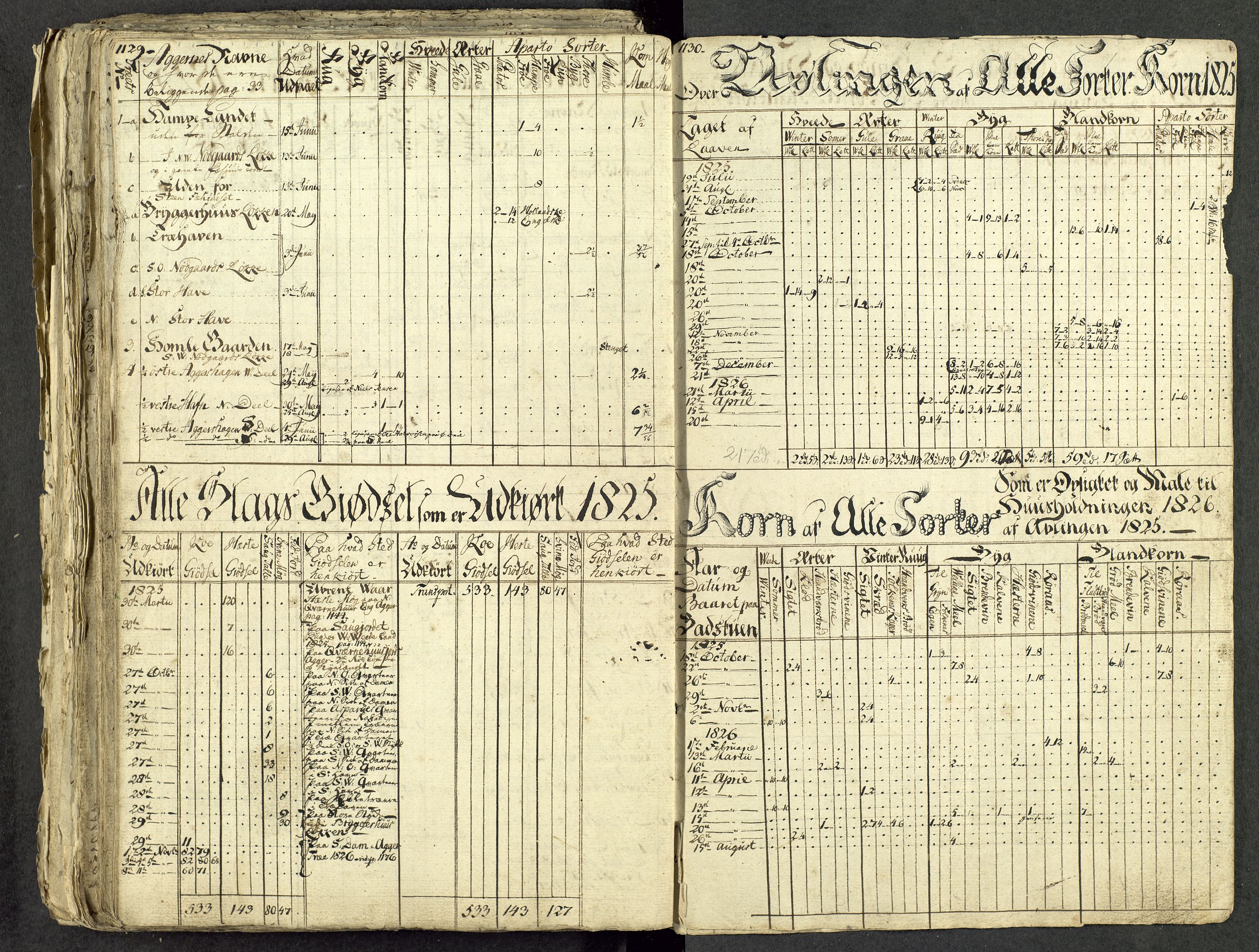 Åker i Vang, Hedmark, og familien Todderud, AV/SAH-ARK-010/G/Ga/L0004/0001: Dagbøker / Dagbok, 1812-1825, p. 217