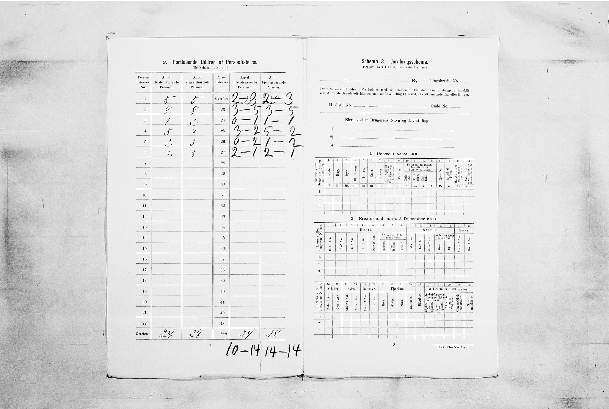 RA, 1900 census for Tønsberg, 1900, p. 4982