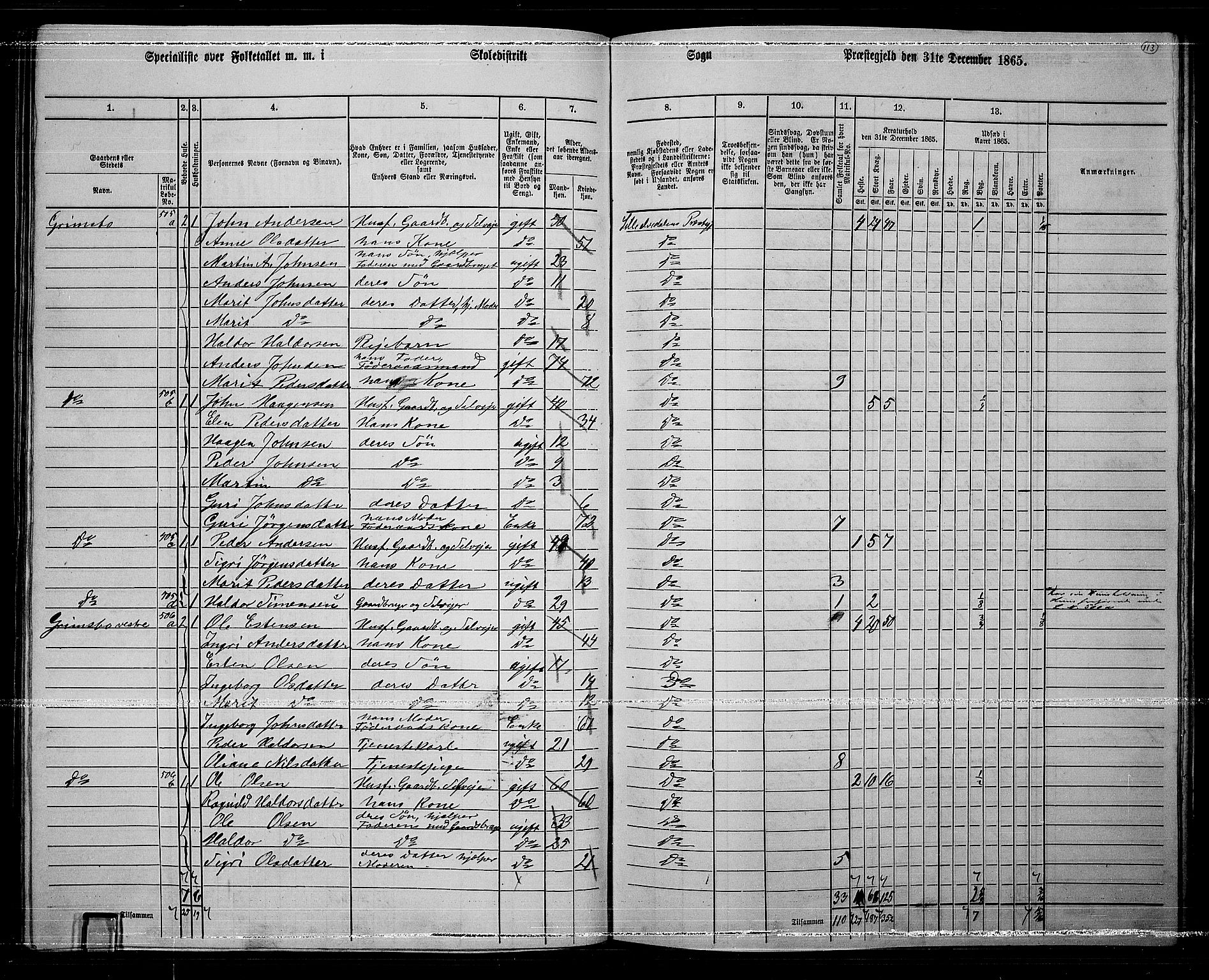 RA, 1865 census for Lille Elvedalen, 1865, p. 98