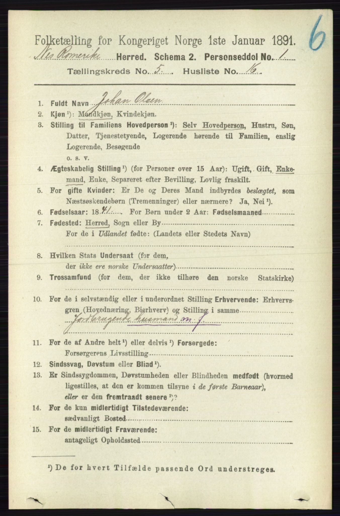 RA, 1891 census for 0236 Nes, 1891, p. 2878