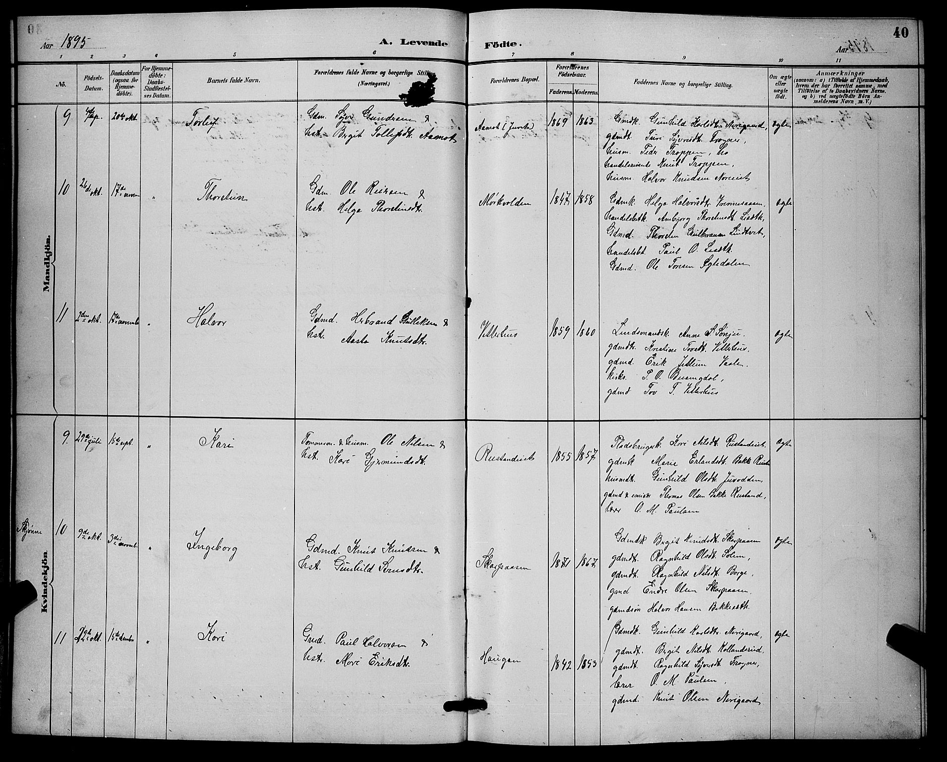 Nore kirkebøker, SAKO/A-238/G/Ga/L0003: Parish register (copy) no. I 3, 1886-1903, p. 40