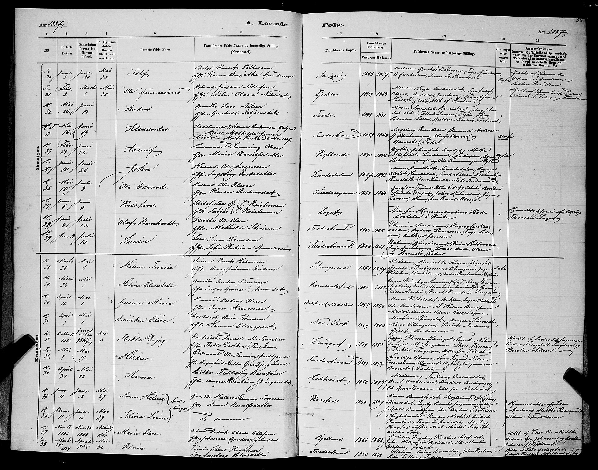 Holt sokneprestkontor, SAK/1111-0021/F/Fb/L0010: Parish register (copy) no. B 10, 1883-1896, p. 56