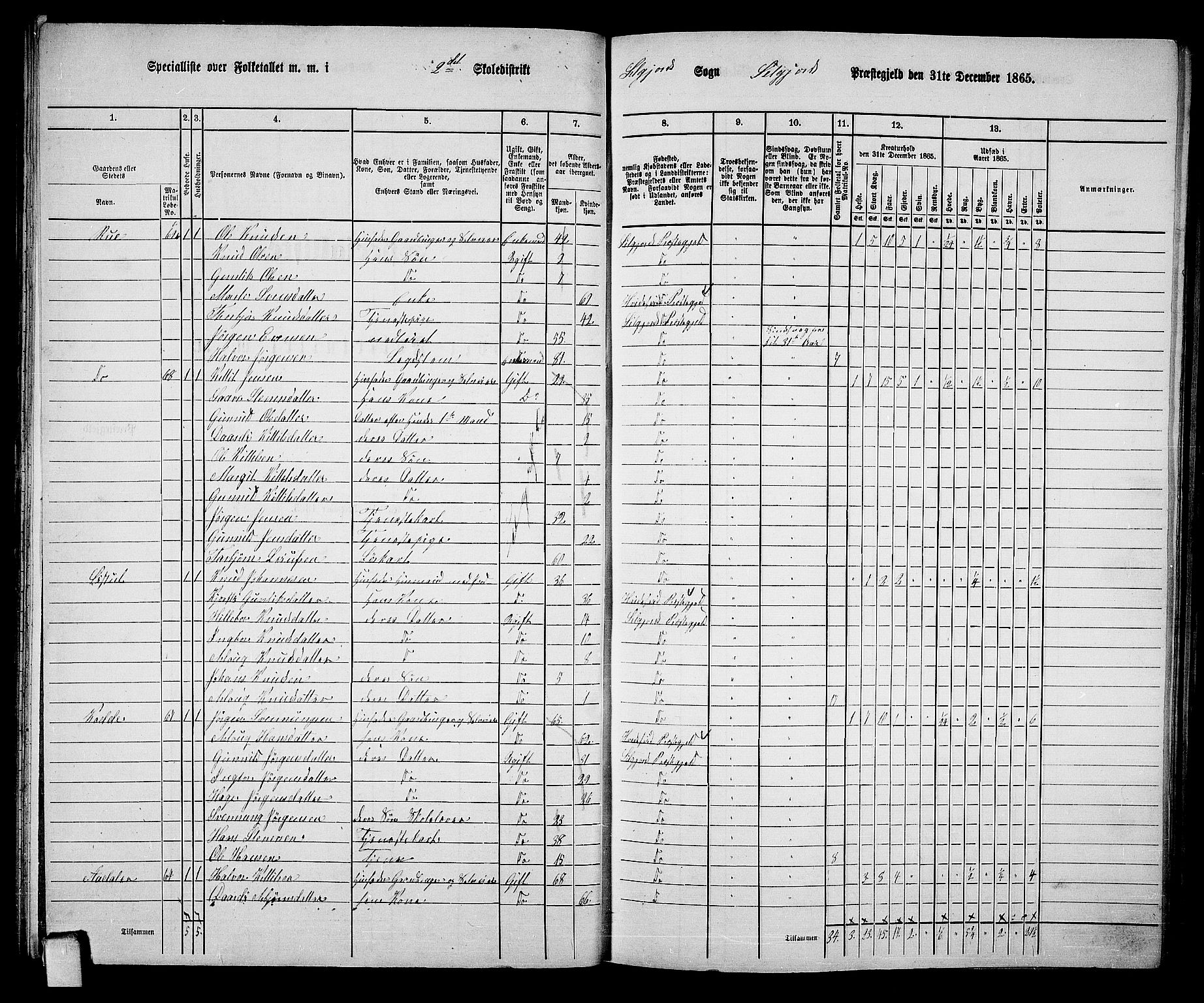 RA, 1865 census for Seljord, 1865, p. 31