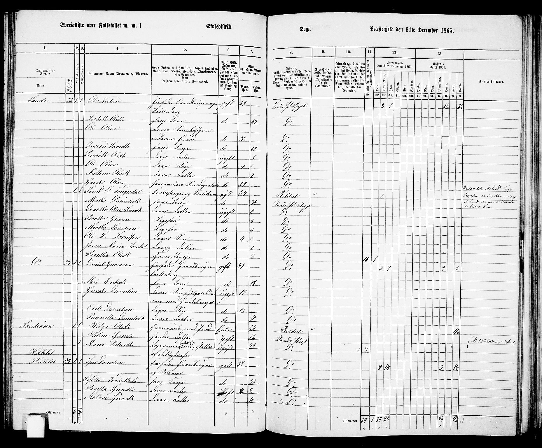 RA, 1865 census for Sand, 1865, p. 96