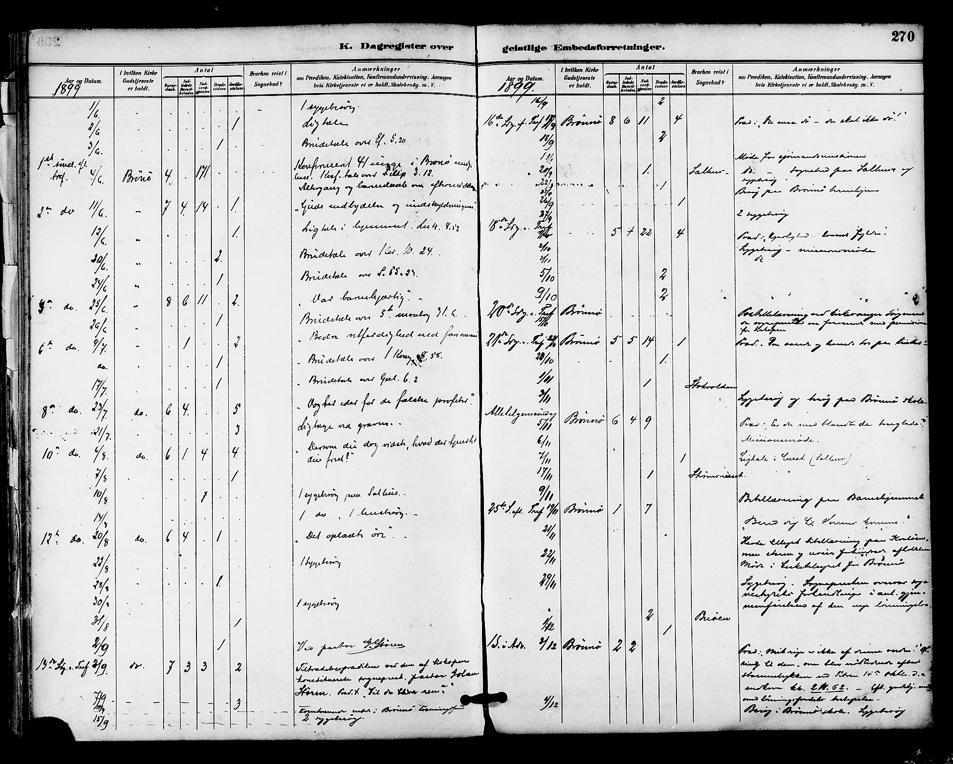 Ministerialprotokoller, klokkerbøker og fødselsregistre - Nordland, AV/SAT-A-1459/813/L0200: Parish register (official) no. 813A10, 1886-1900, p. 270