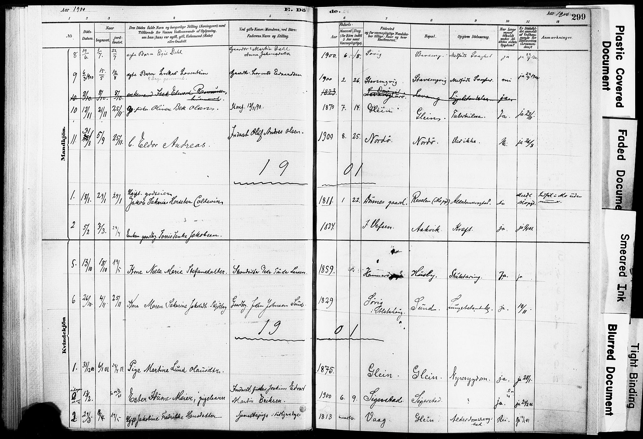 Ministerialprotokoller, klokkerbøker og fødselsregistre - Nordland, AV/SAT-A-1459/835/L0526: Parish register (official) no. 835A03II, 1881-1910, p. 299