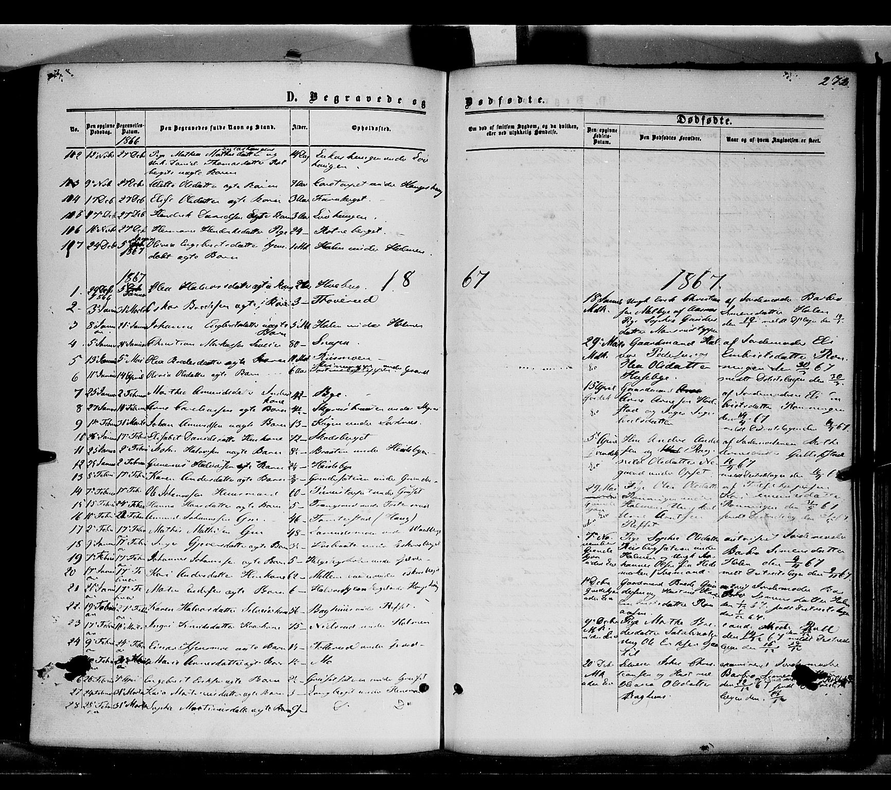 Grue prestekontor, SAH/PREST-036/H/Ha/Haa/L0010: Parish register (official) no. 10, 1864-1873, p. 272
