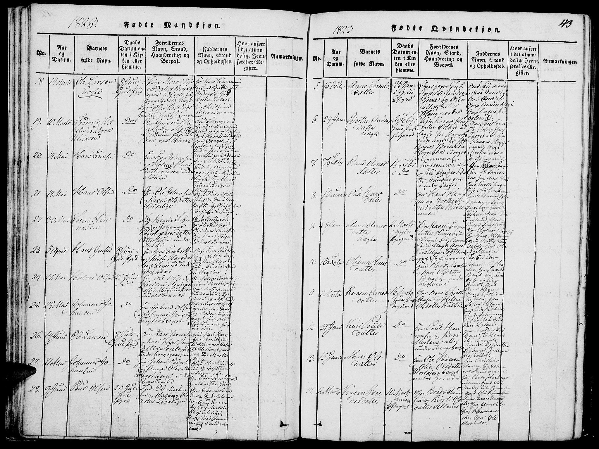 Grue prestekontor, SAH/PREST-036/H/Ha/Hab/L0002: Parish register (copy) no. 2, 1815-1841, p. 43