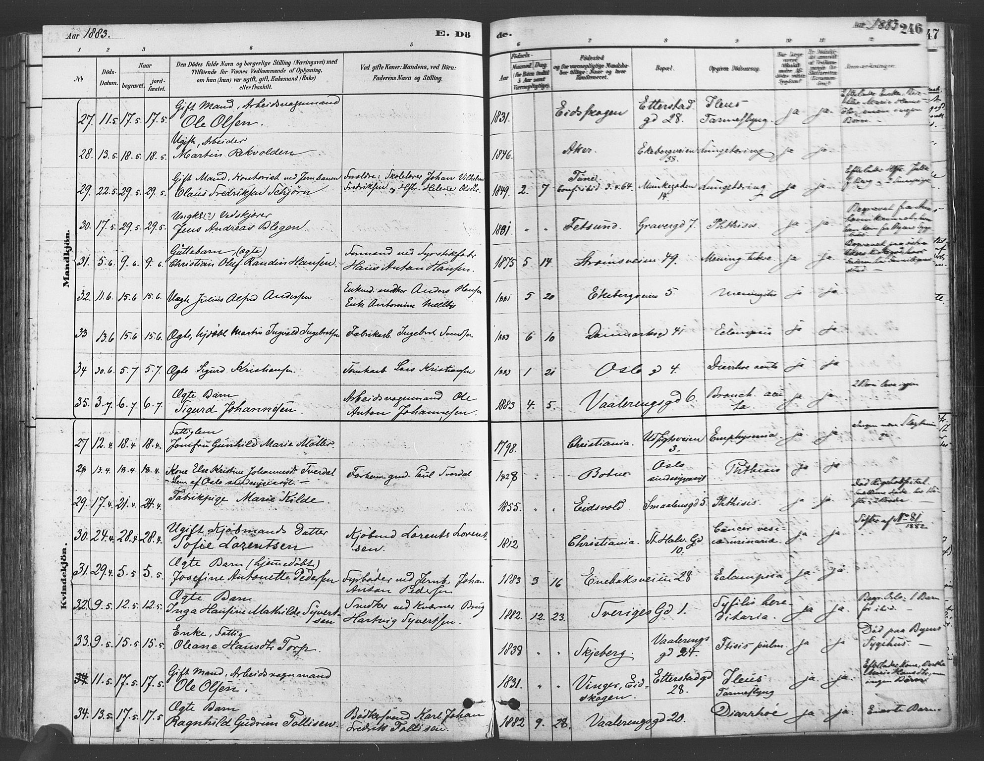 Gamlebyen prestekontor Kirkebøker, SAO/A-10884/F/Fa/L0006: Parish register (official) no. 6, 1881-1890, p. 246