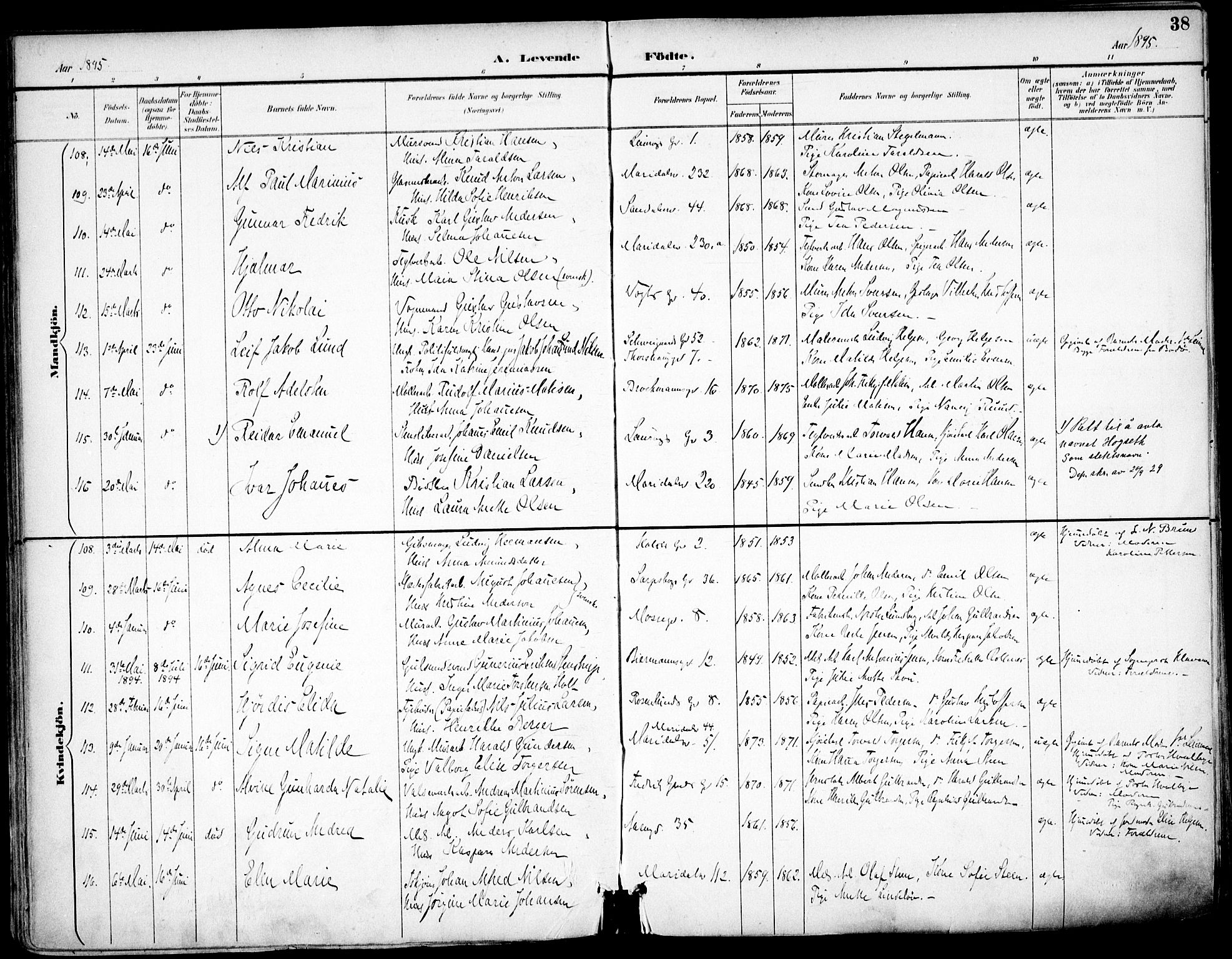 Sagene prestekontor Kirkebøker, AV/SAO-A-10796/F/L0004: Parish register (official) no. 4, 1894-1904, p. 38