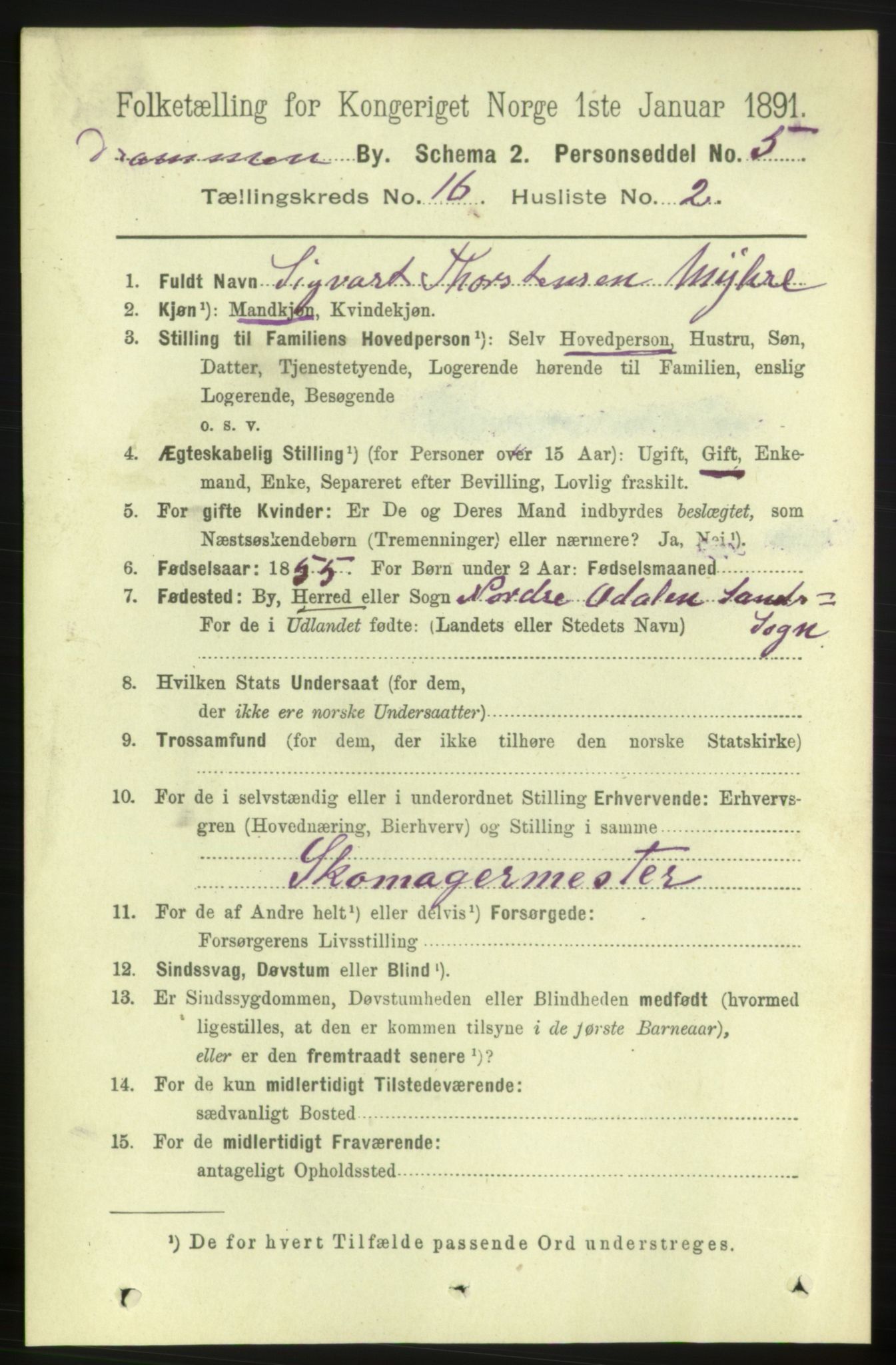 RA, 1891 census for 0602 Drammen, 1891, p. 10968