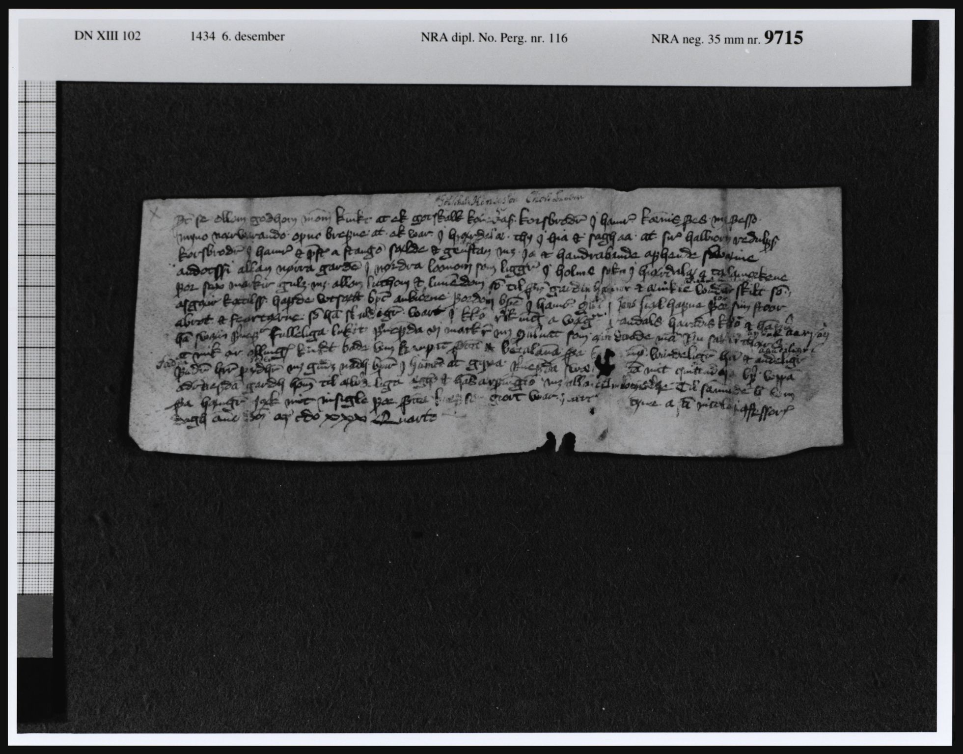 Riksarkivets diplomsamling, RA/EA-5965/F08, 1224-1564, p. 261