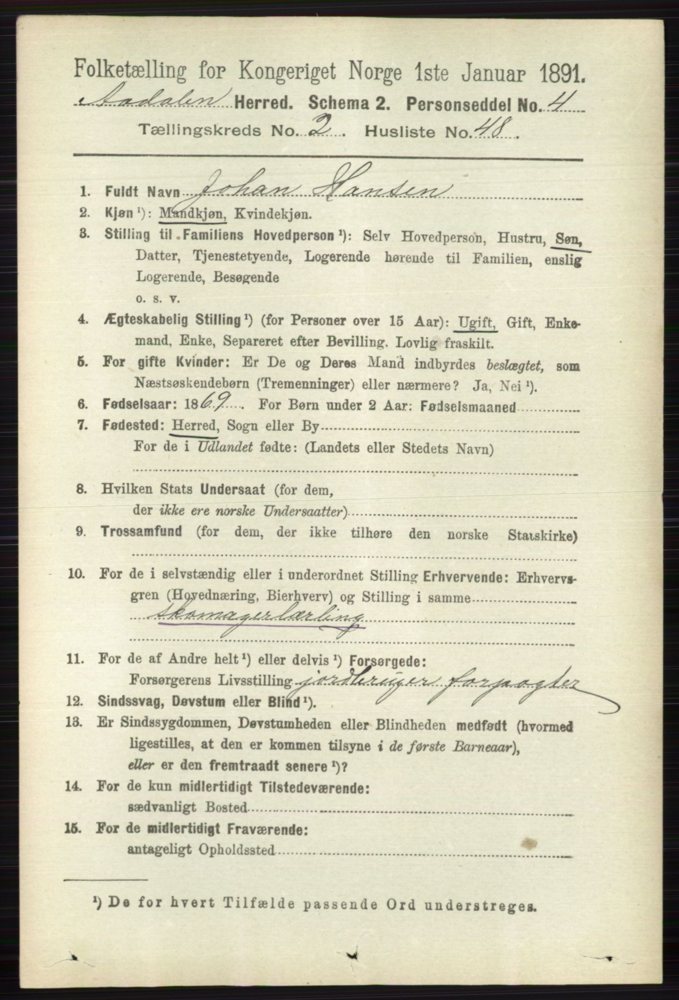 RA, 1891 census for 0614 Ådal, 1891, p. 958