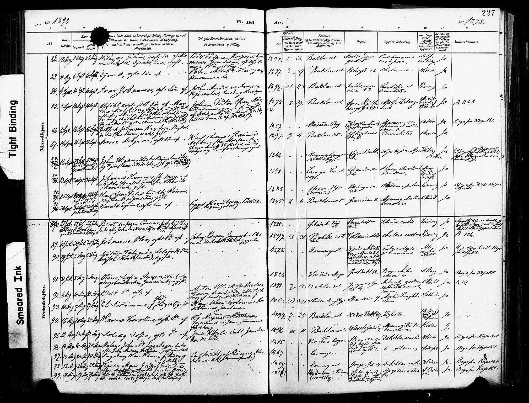 Ministerialprotokoller, klokkerbøker og fødselsregistre - Sør-Trøndelag, AV/SAT-A-1456/604/L0198: Parish register (official) no. 604A19, 1893-1900, p. 227