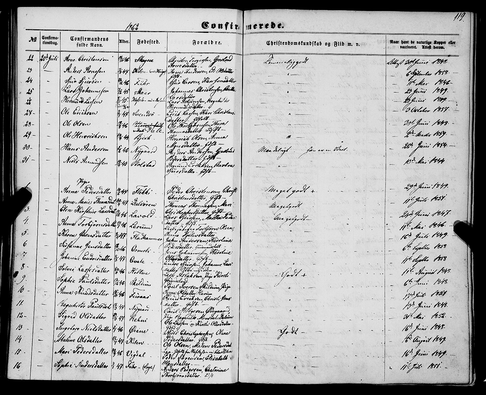 Luster sokneprestembete, SAB/A-81101/H/Haa/Haaa/L0008: Parish register (official) no. A 8, 1860-1870, p. 119