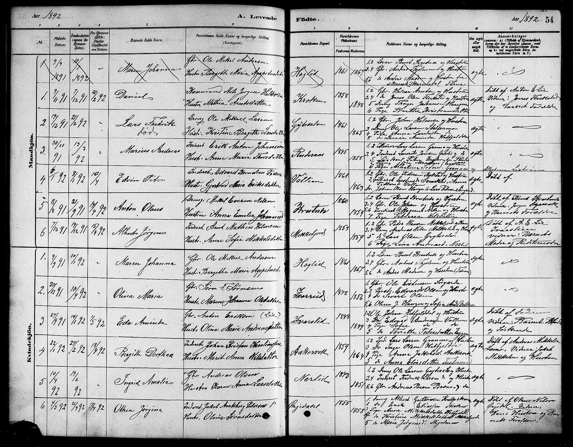 Ministerialprotokoller, klokkerbøker og fødselsregistre - Nordland, SAT/A-1459/823/L0330: Parish register (copy) no. 823C02, 1879-1916, p. 54