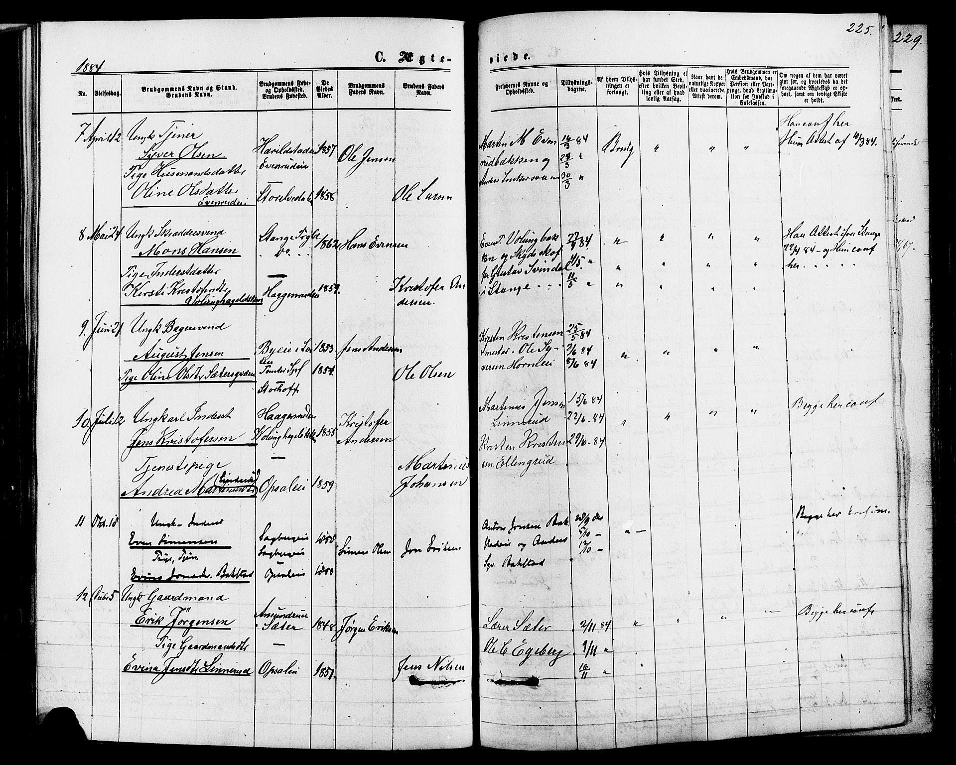 Romedal prestekontor, SAH/PREST-004/K/L0006: Parish register (official) no. 6, 1866-1886, p. 225