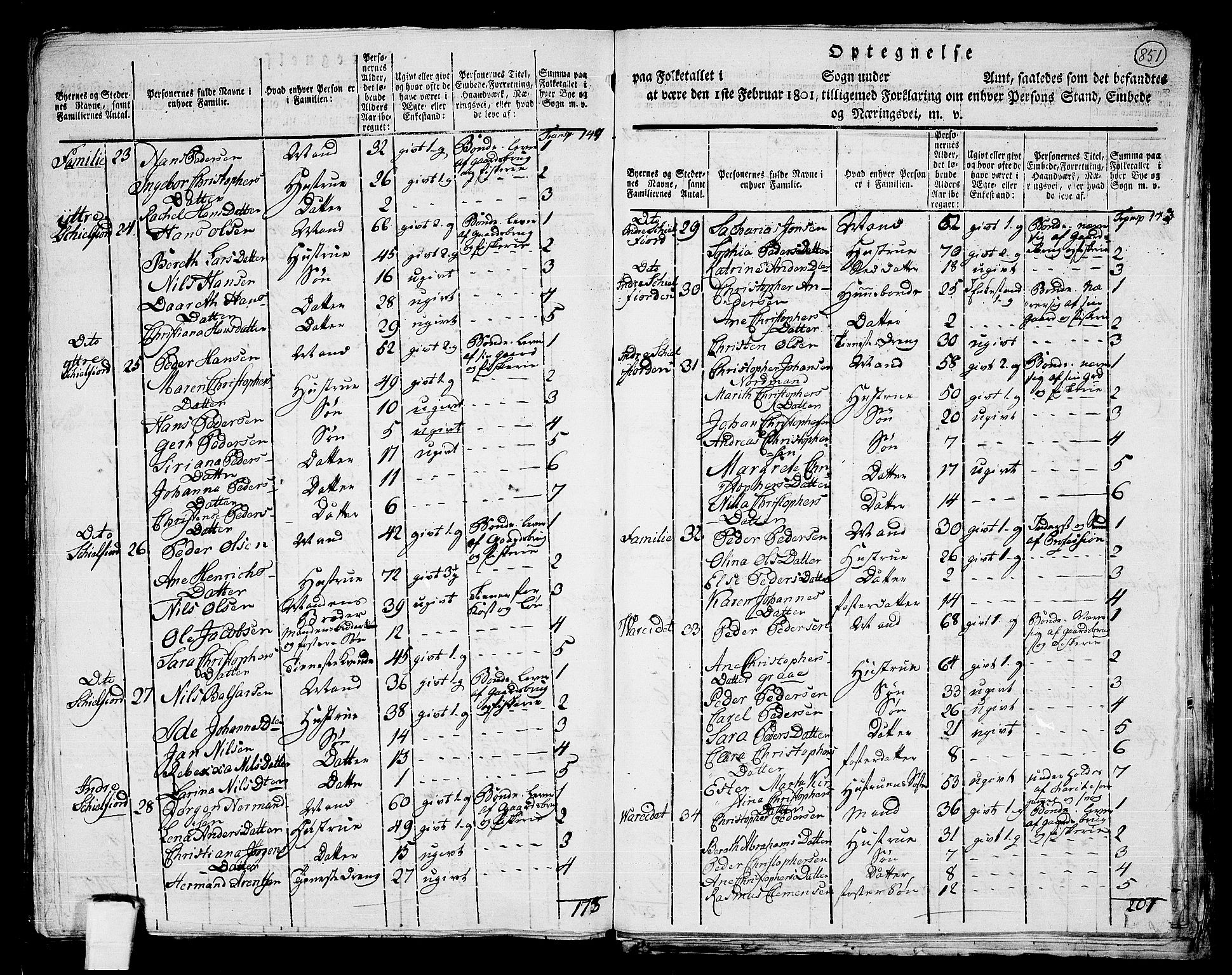 RA, 1801 census for 1859P Flakstad, 1801, p. 850b-851a