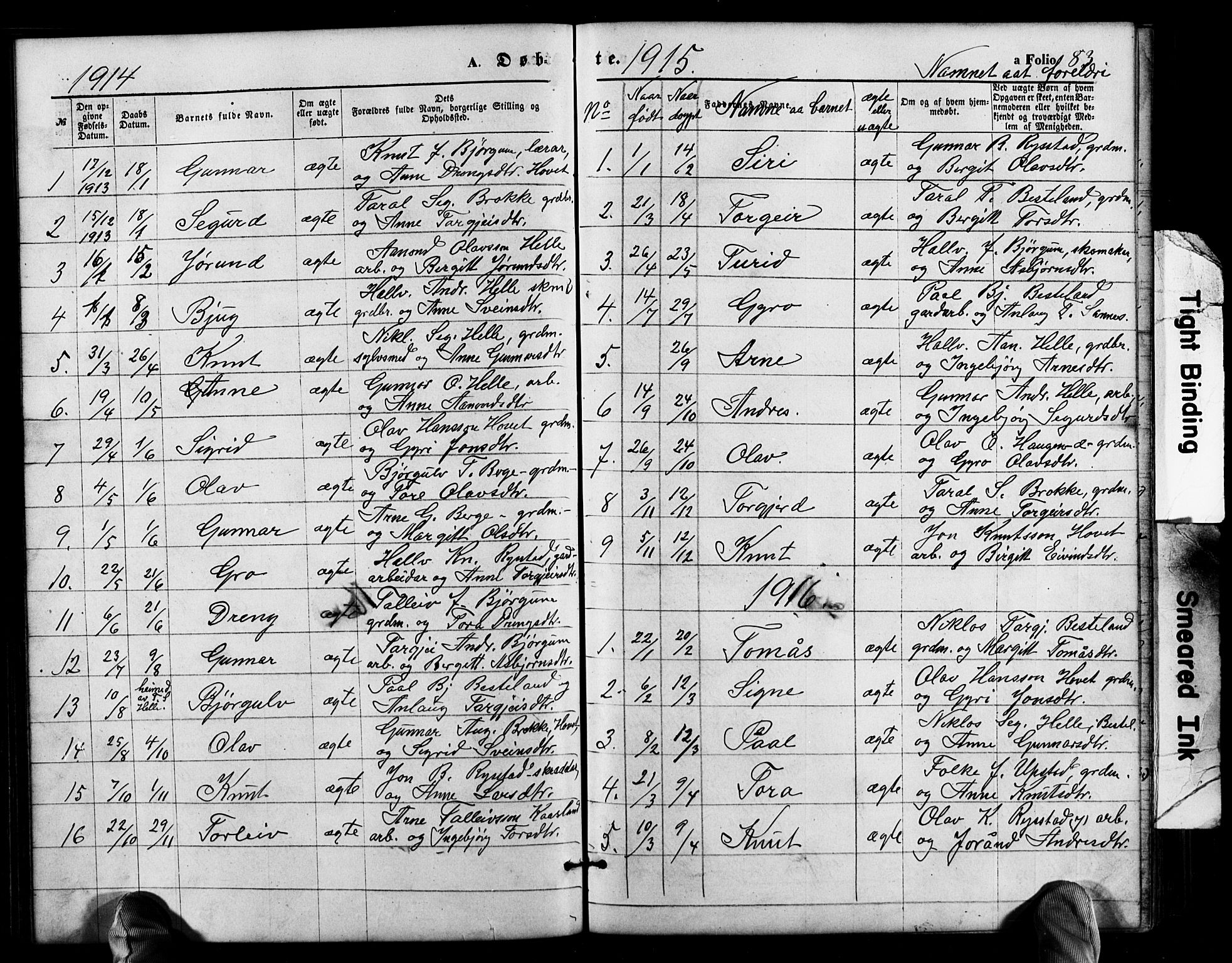 Valle sokneprestkontor, SAK/1111-0044/F/Fb/Fbb/L0002: Parish register (copy) no. B 2, 1875-1921, p. 83