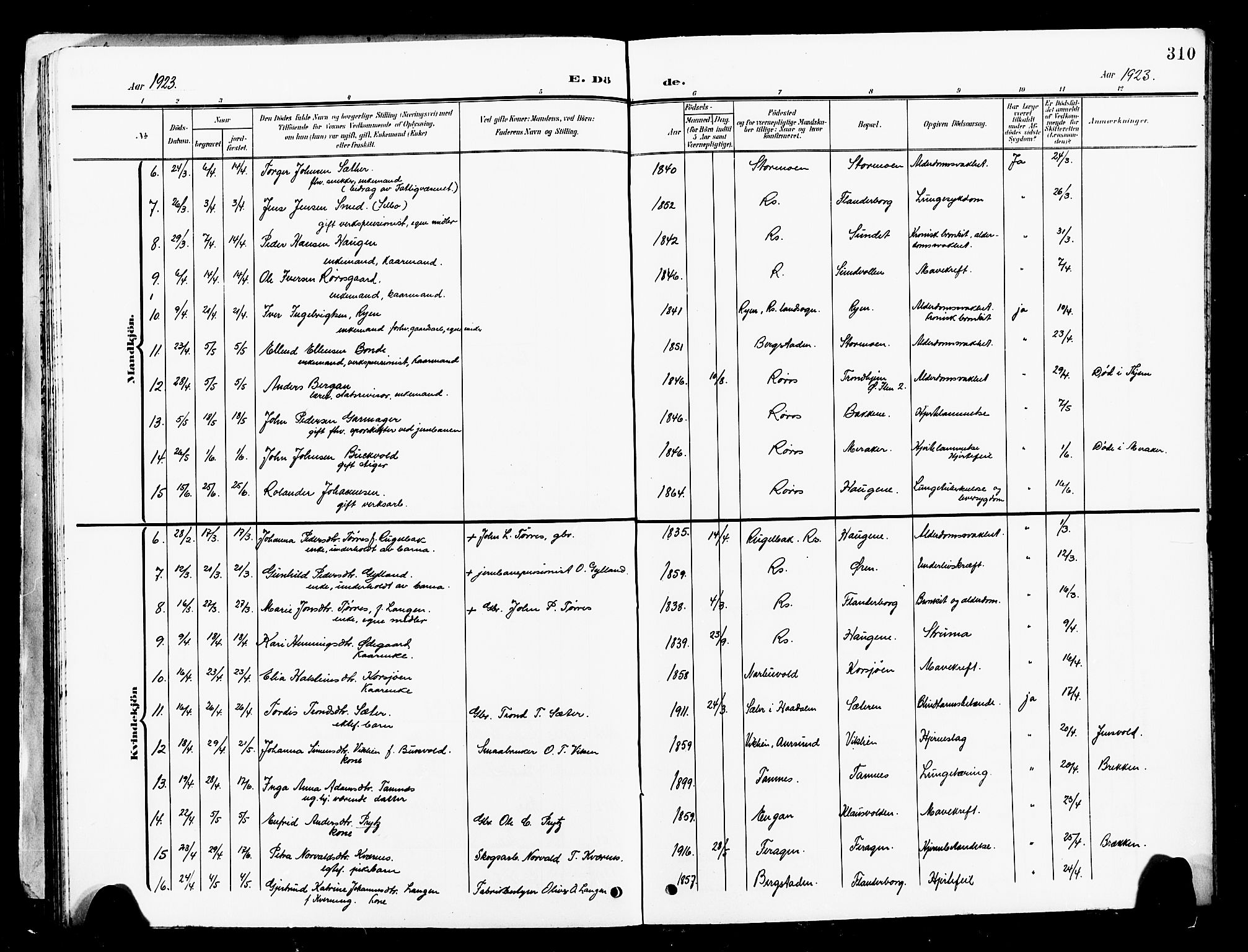 Ministerialprotokoller, klokkerbøker og fødselsregistre - Sør-Trøndelag, AV/SAT-A-1456/681/L0942: Parish register (copy) no. 681C06, 1906-1925, p. 310