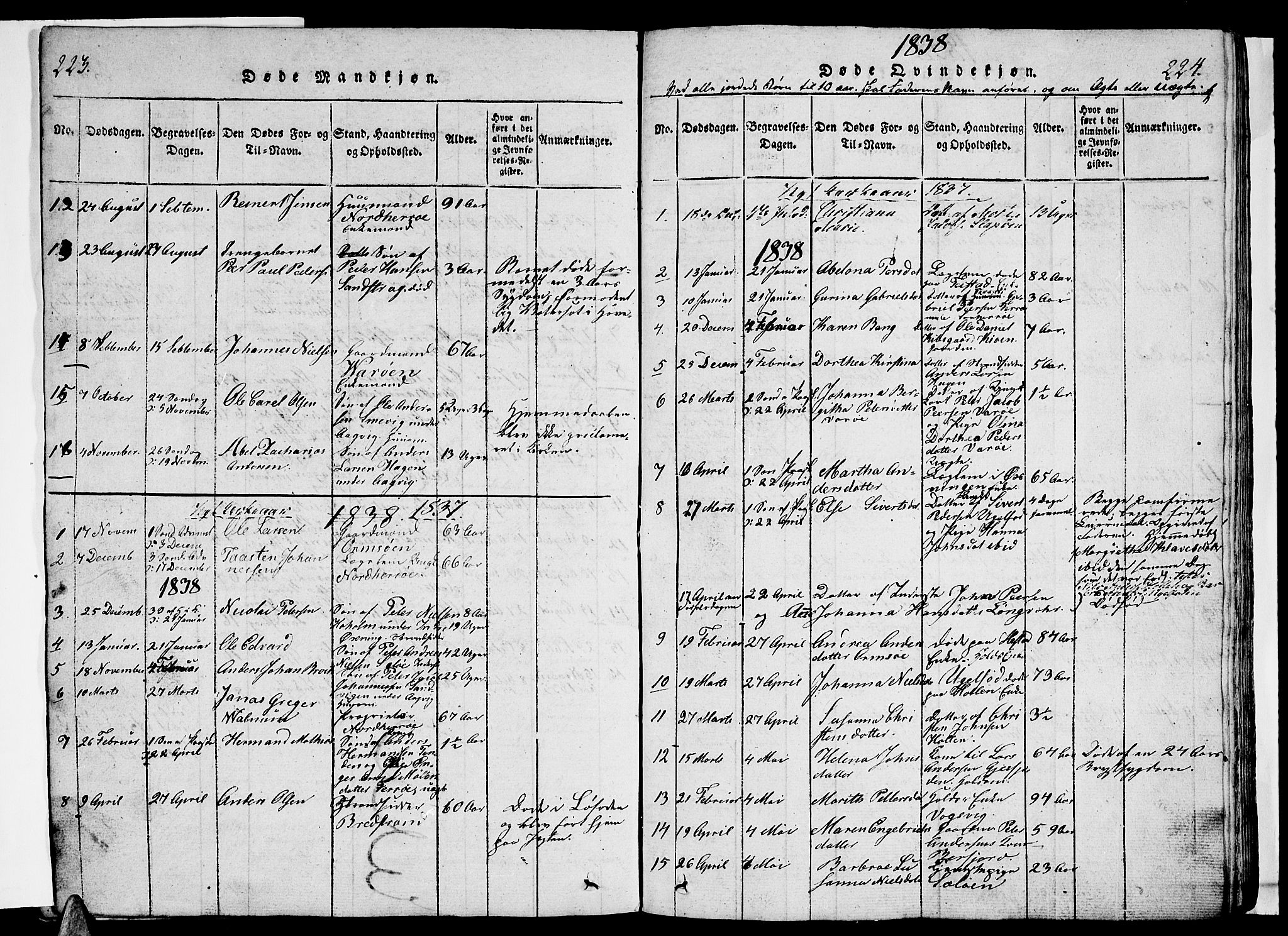 Ministerialprotokoller, klokkerbøker og fødselsregistre - Nordland, AV/SAT-A-1459/834/L0510: Parish register (copy) no. 834C01, 1820-1847, p. 223-224