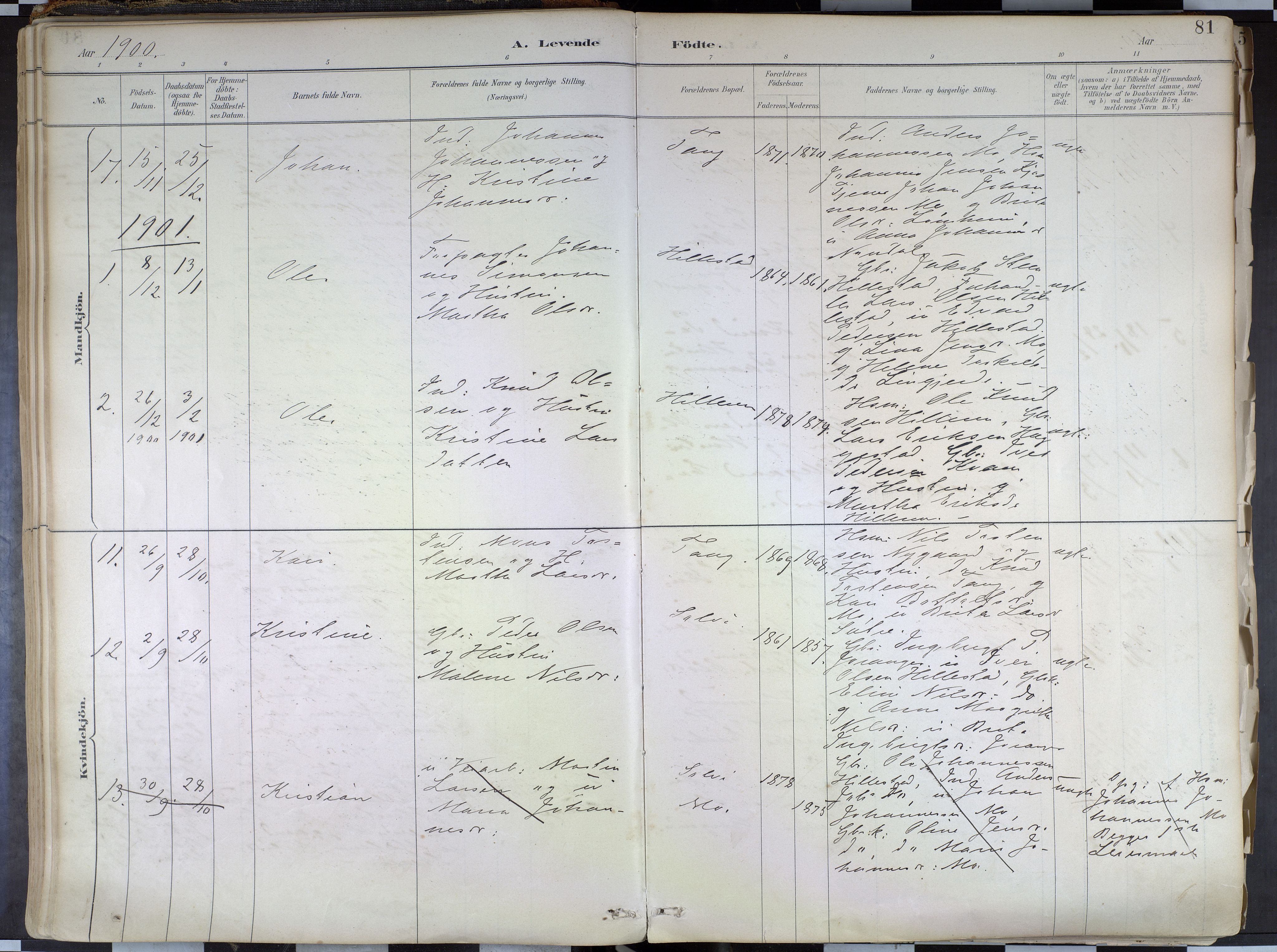 Hafslo sokneprestembete, AV/SAB-A-80301/H/Haa/Haab/L0001: Parish register (official) no. B 1, 1886-1945, p. 81