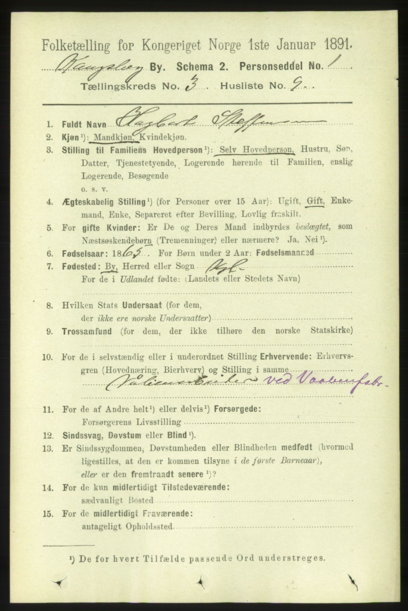 RA, 1891 census for 0604 Kongsberg, 1891, p. 2845