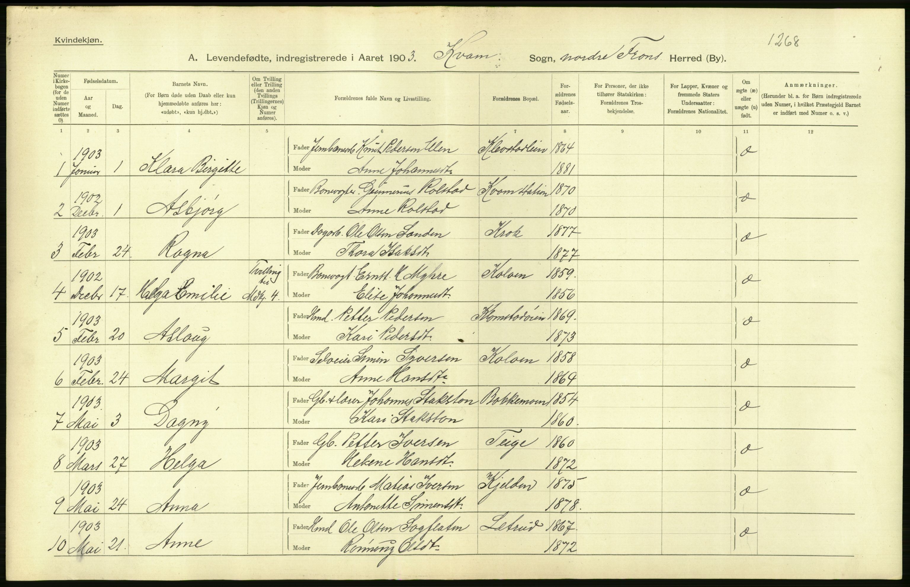 Statistisk sentralbyrå, Sosiodemografiske emner, Befolkning, AV/RA-S-2228/D/Df/Dfa/Dfaa/L0006: Kristians amt: Fødte, gifte, døde, 1903, p. 58