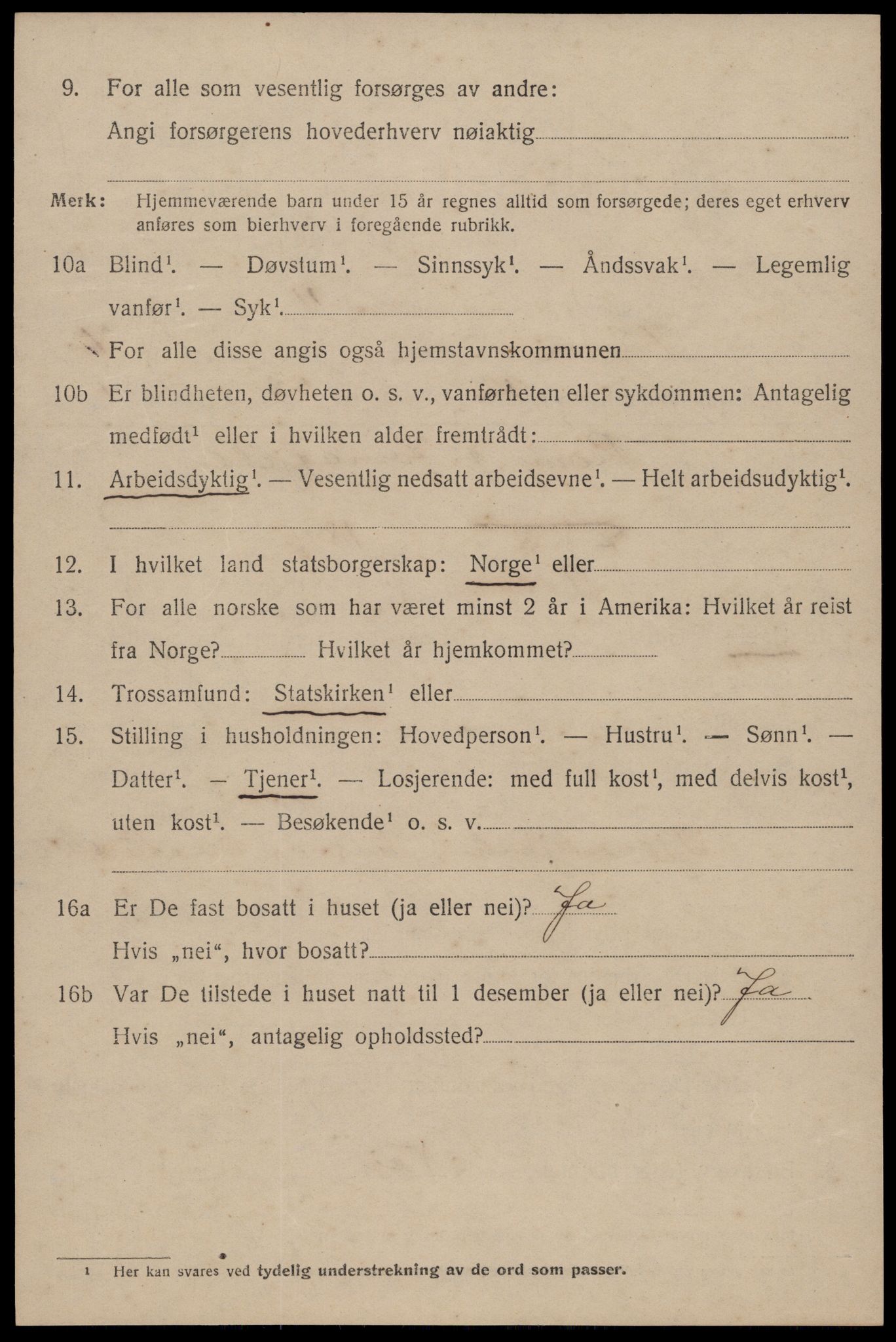 SAKO, 1920 census for Tinn, 1920, p. 4651