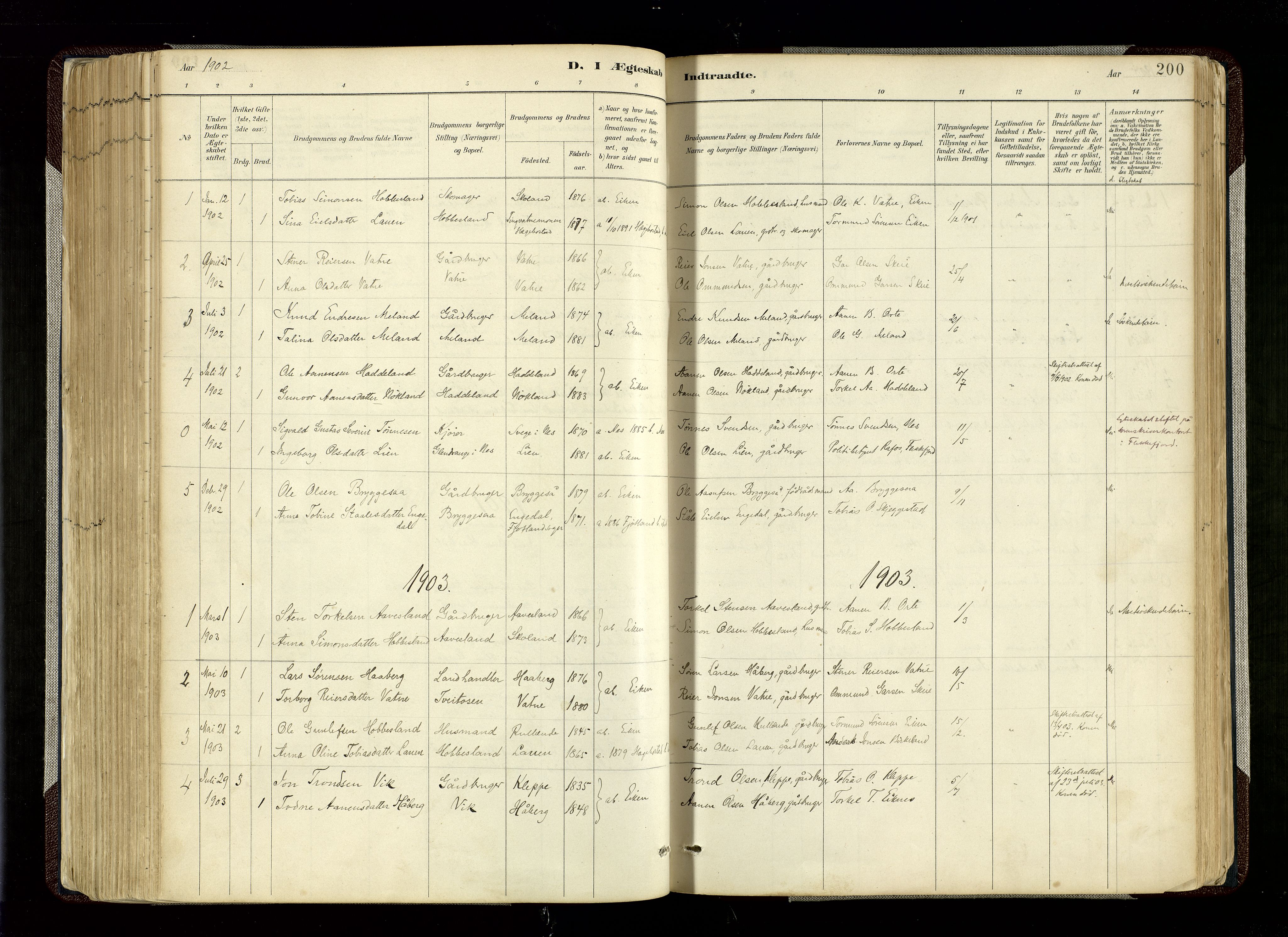 Hægebostad sokneprestkontor, SAK/1111-0024/F/Fa/Fab/L0004: Parish register (official) no. A 4, 1887-1929, p. 200
