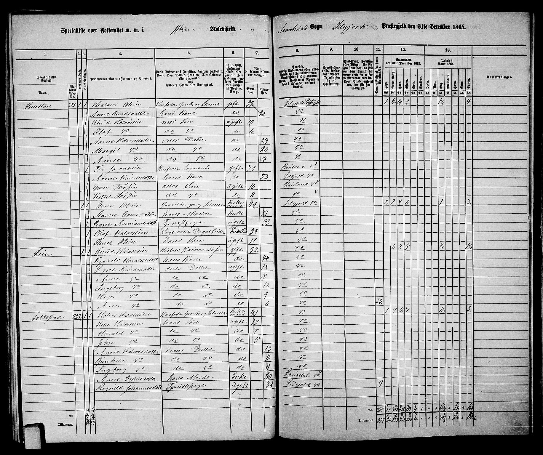 RA, 1865 census for Seljord, 1865, p. 159