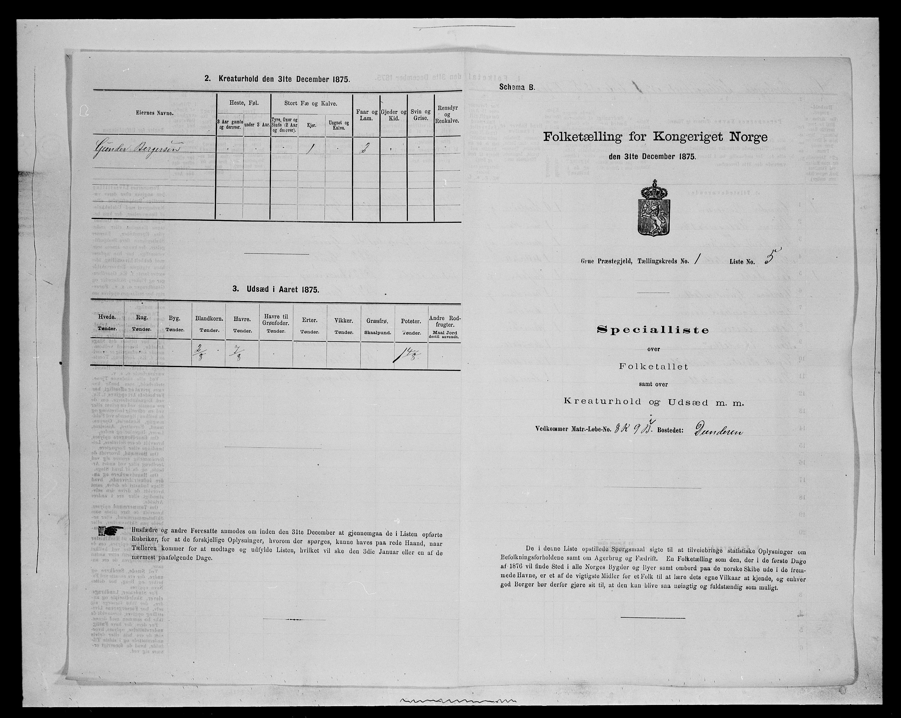 SAH, 1875 census for 0423P Grue, 1875, p. 161