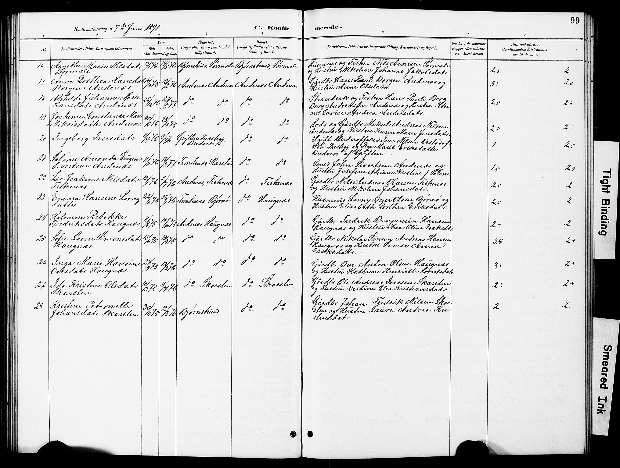 Ministerialprotokoller, klokkerbøker og fødselsregistre - Nordland, AV/SAT-A-1459/897/L1413: Parish register (copy) no. 897C03, 1887-1903, p. 99