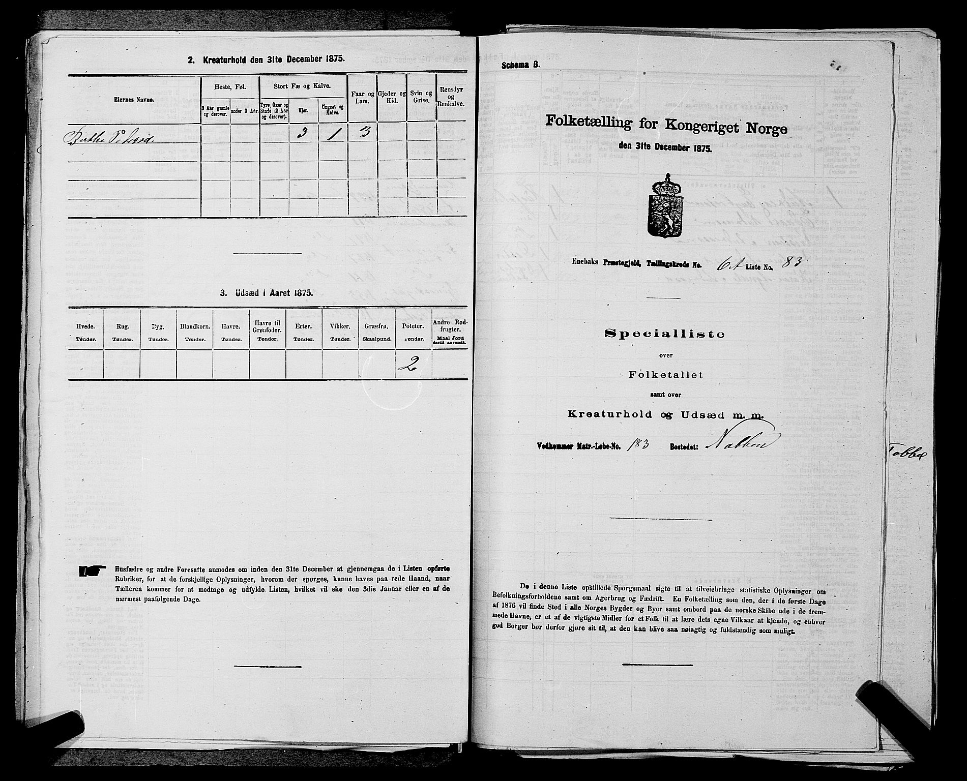 RA, 1875 census for 0229P Enebakk, 1875, p. 1095