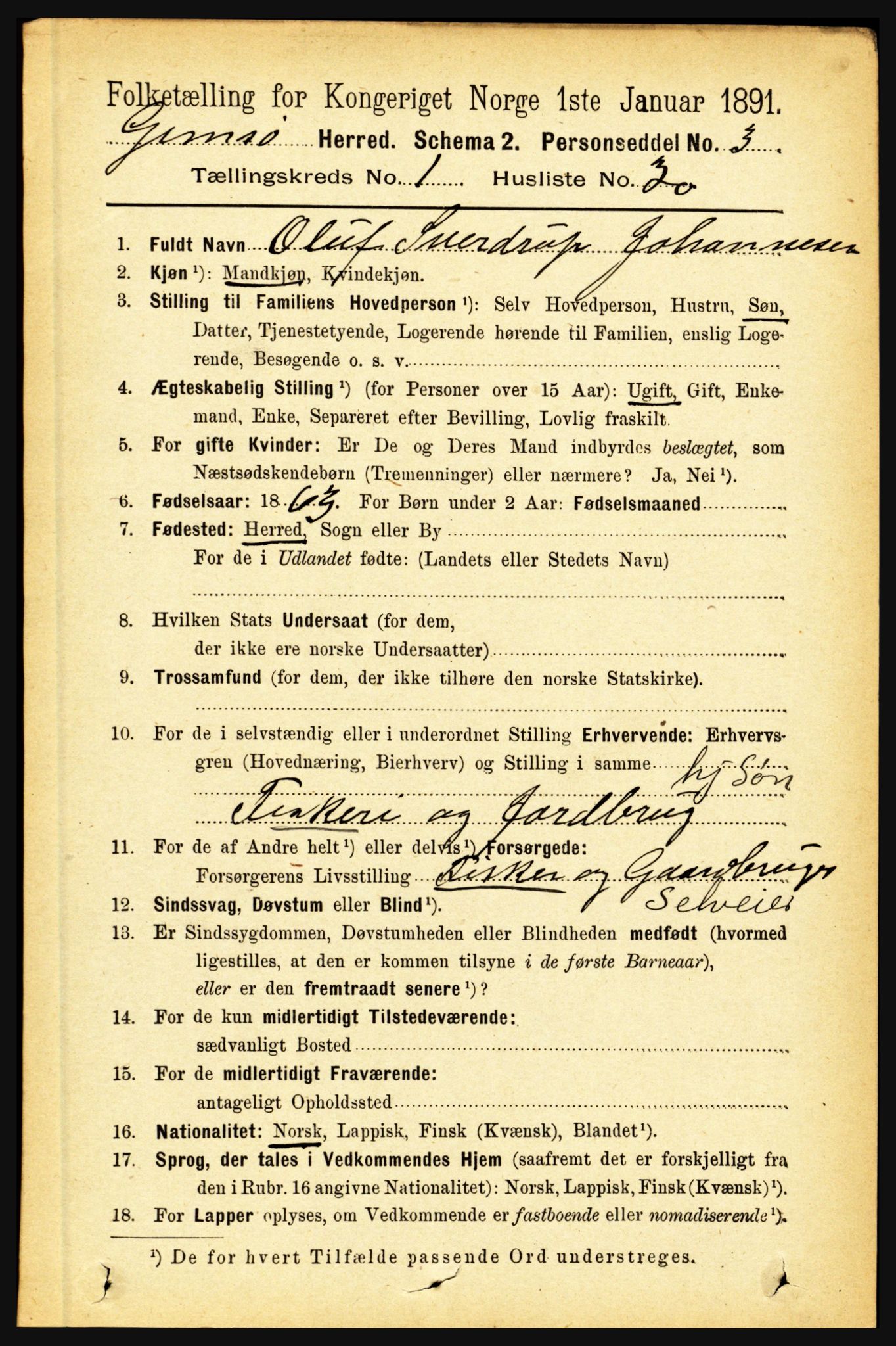 RA, 1891 census for 1864 Gimsøy, 1891, p. 249