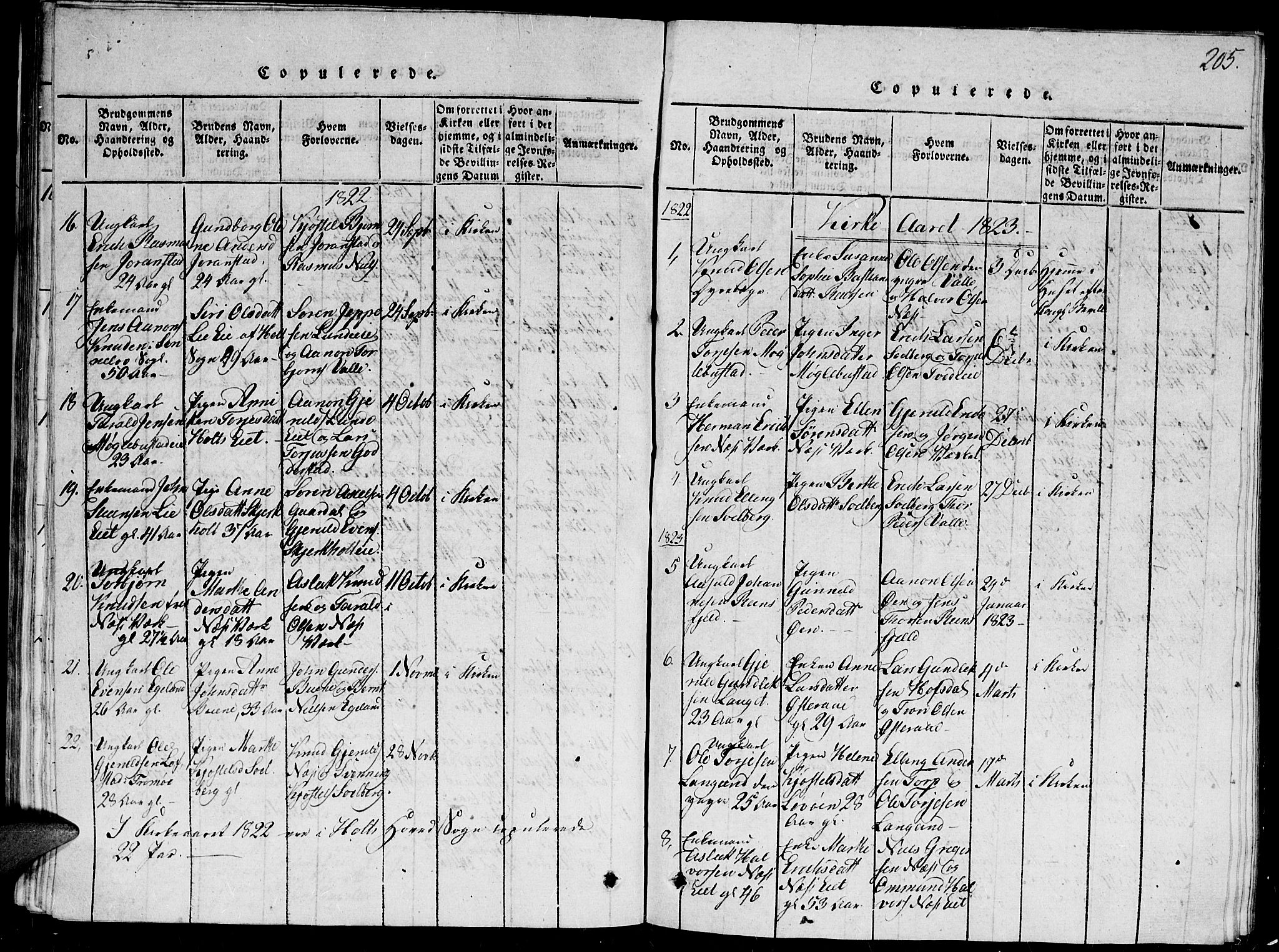 Holt sokneprestkontor, AV/SAK-1111-0021/F/Fb/L0006: Parish register (copy) no. B 6, 1813-1823, p. 205