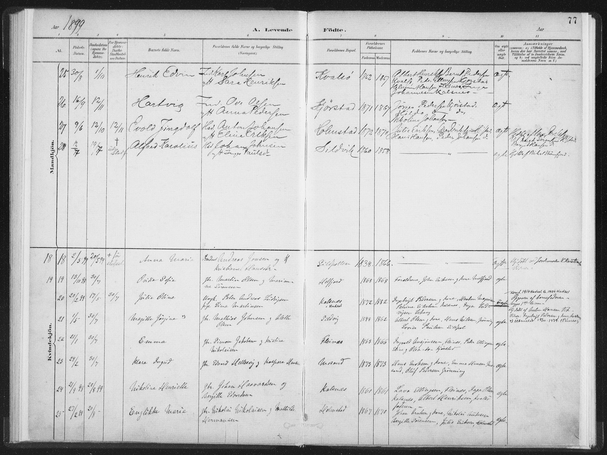 Ministerialprotokoller, klokkerbøker og fødselsregistre - Nordland, AV/SAT-A-1459/890/L1286: Parish register (official) no. 890A01, 1882-1902, p. 77