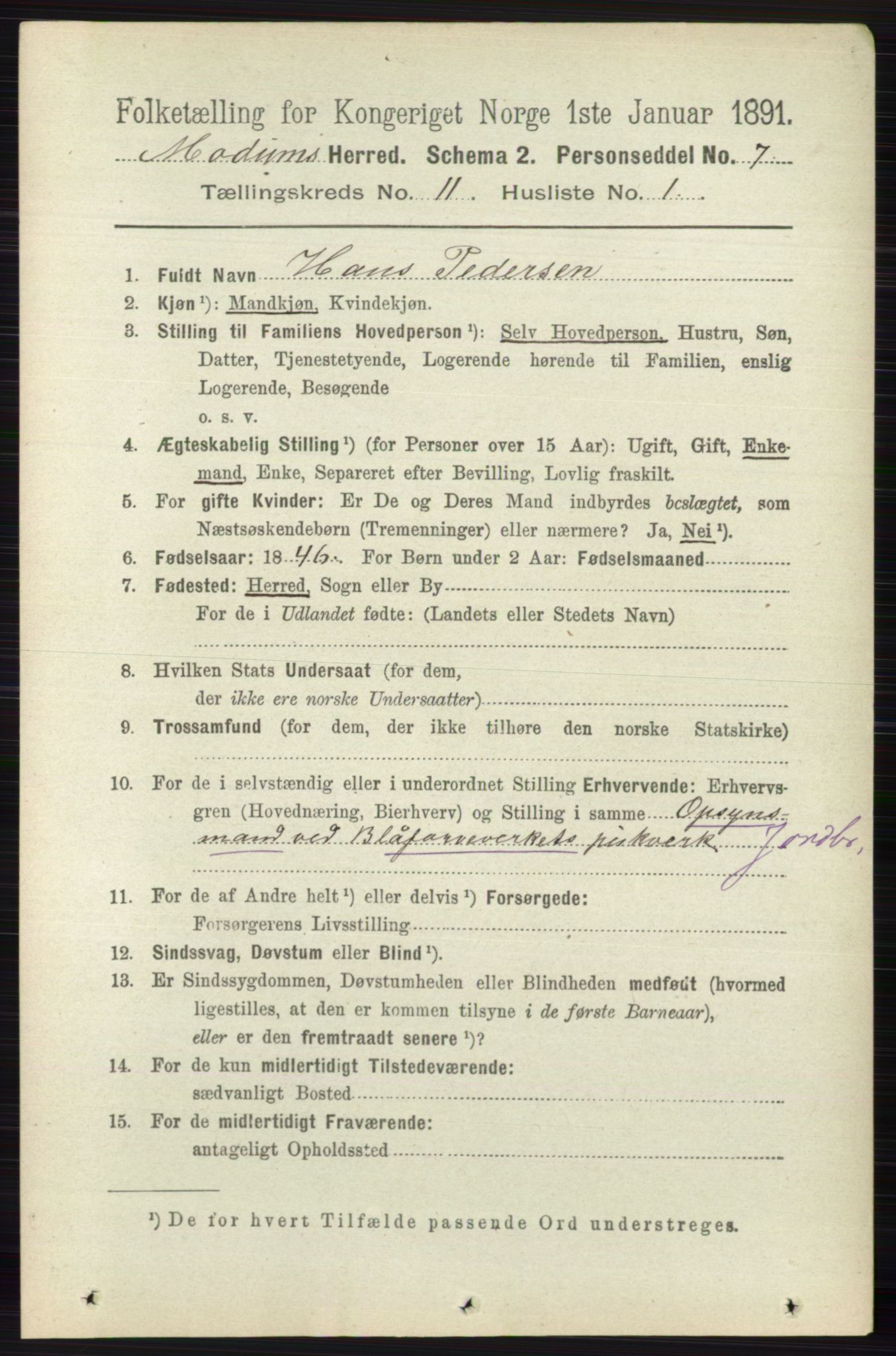 RA, 1891 census for 0623 Modum, 1891, p. 4116