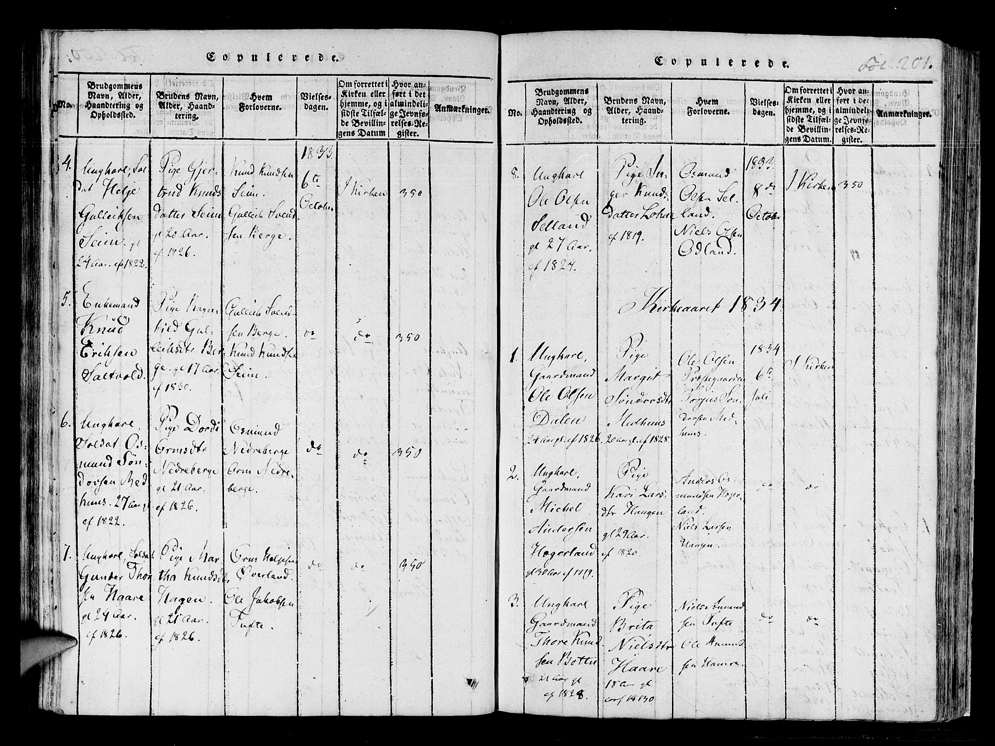 Røldal sokneprestembete, SAB/A-100247: Parish register (official) no. A 2, 1817-1856, p. 201