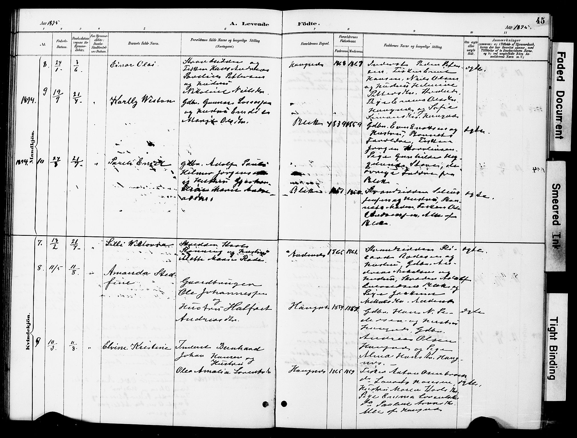 Ministerialprotokoller, klokkerbøker og fødselsregistre - Nordland, AV/SAT-A-1459/899/L1448: Parish register (copy) no. 899C03, 1887-1902, p. 45