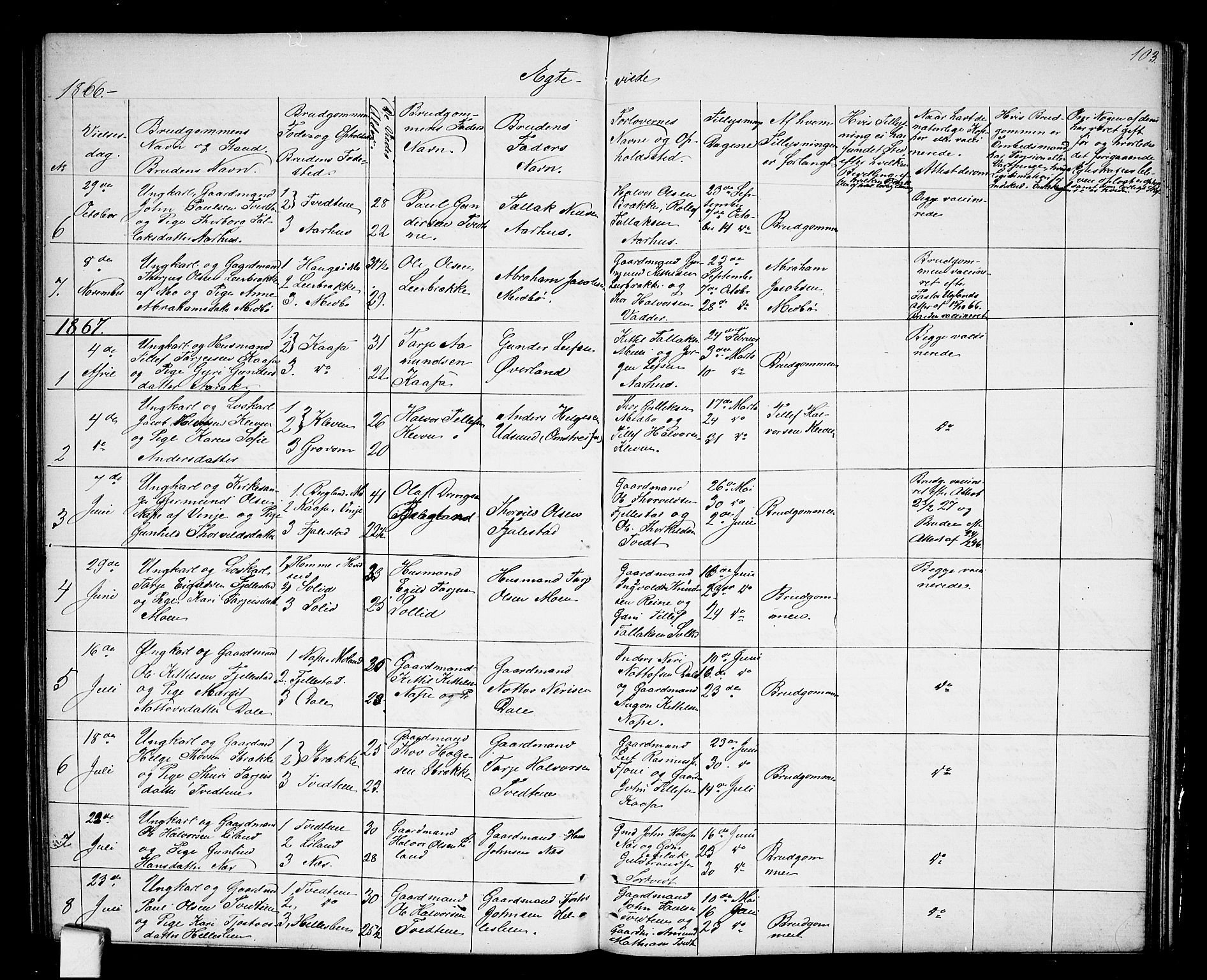 Nissedal kirkebøker, SAKO/A-288/G/Ga/L0002: Parish register (copy) no. I 2, 1861-1887, p. 103