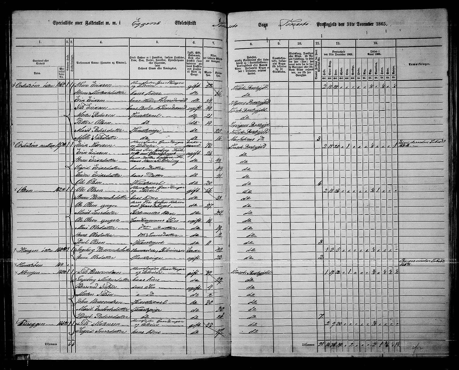 RA, 1865 census for Tynset, 1865, p. 81